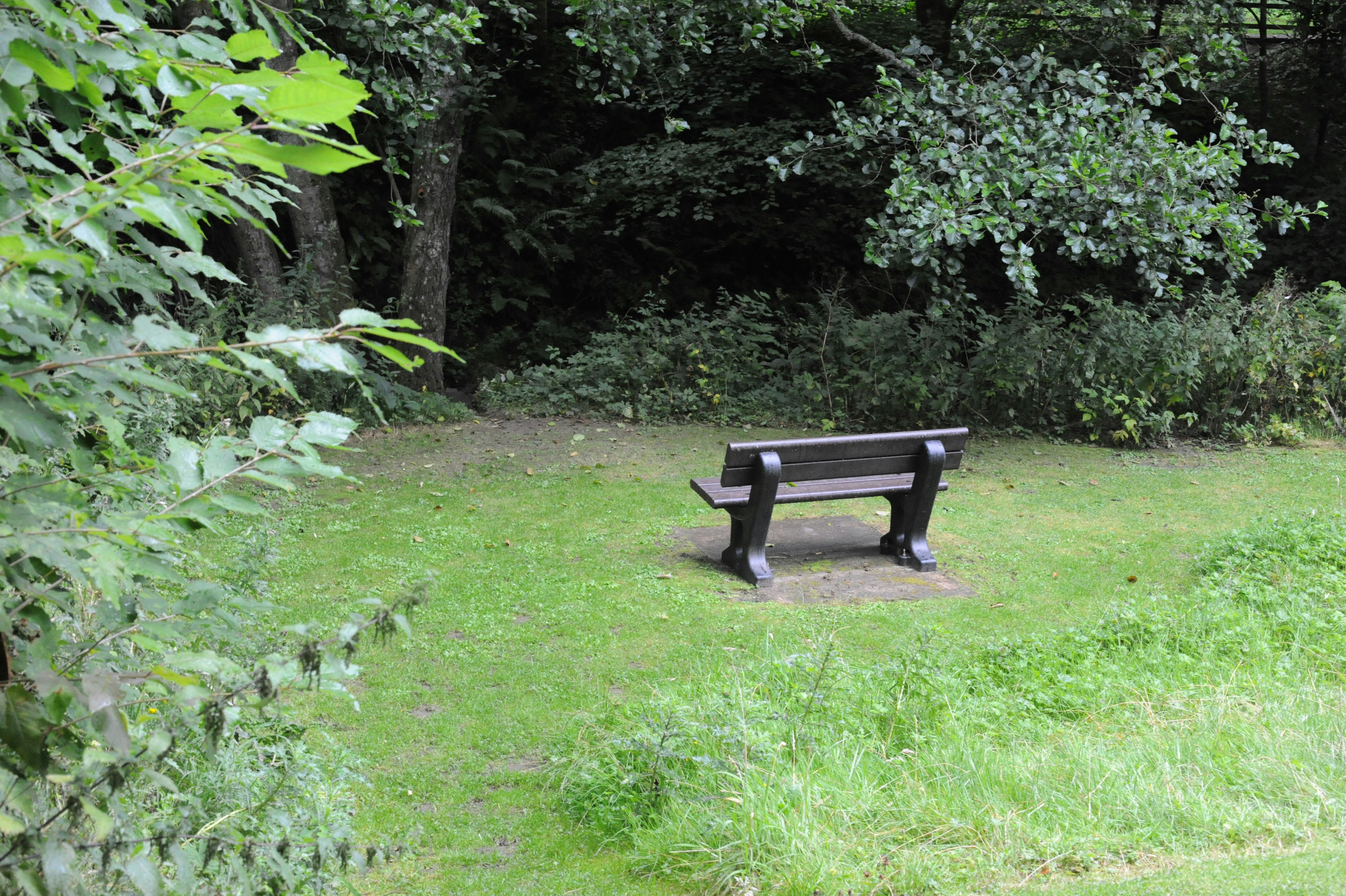 A dark brown park bench on a stone base in a grassy clearing