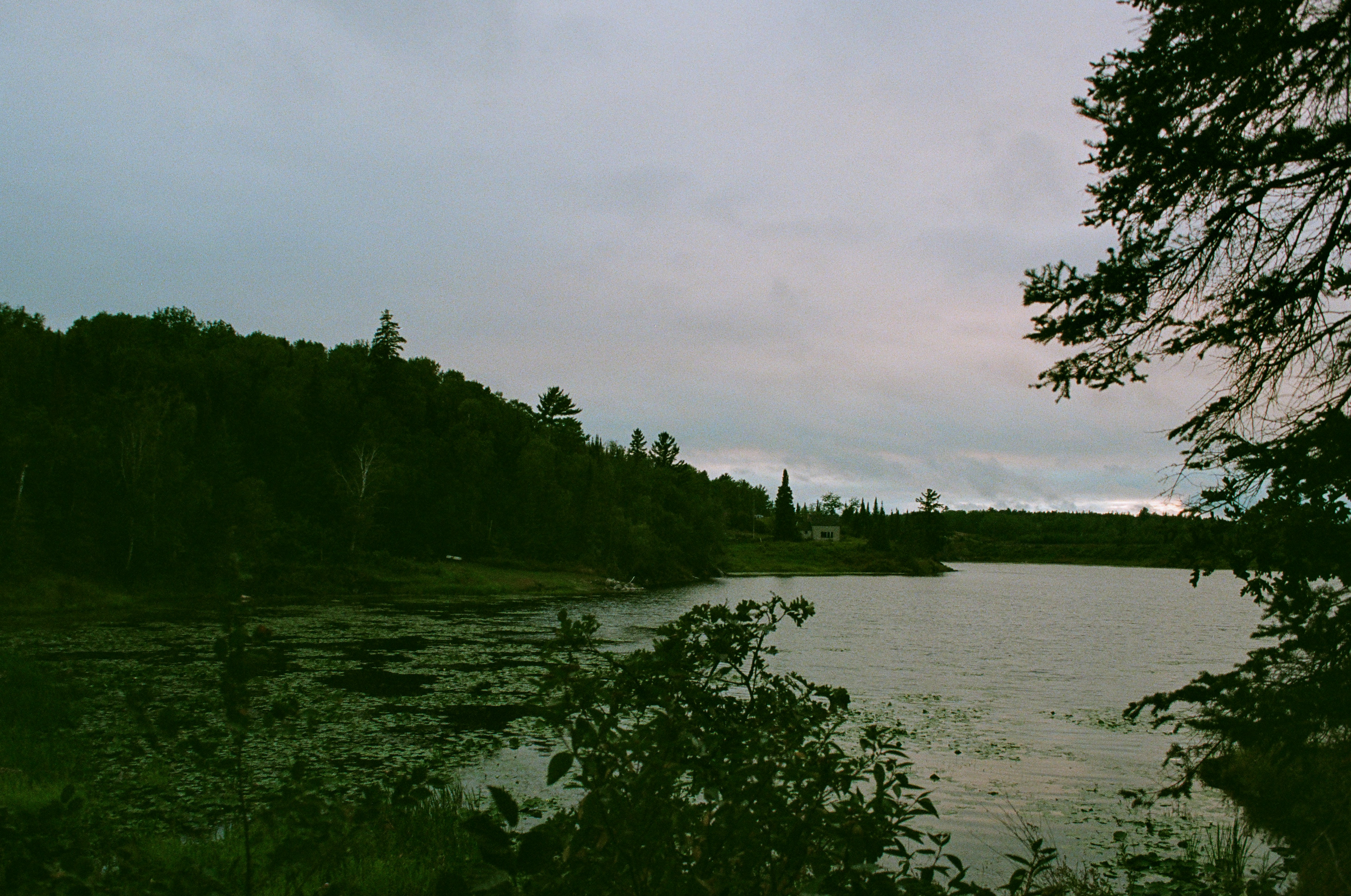 A calm lake bordered by a dense forest under a cloudy grey sky