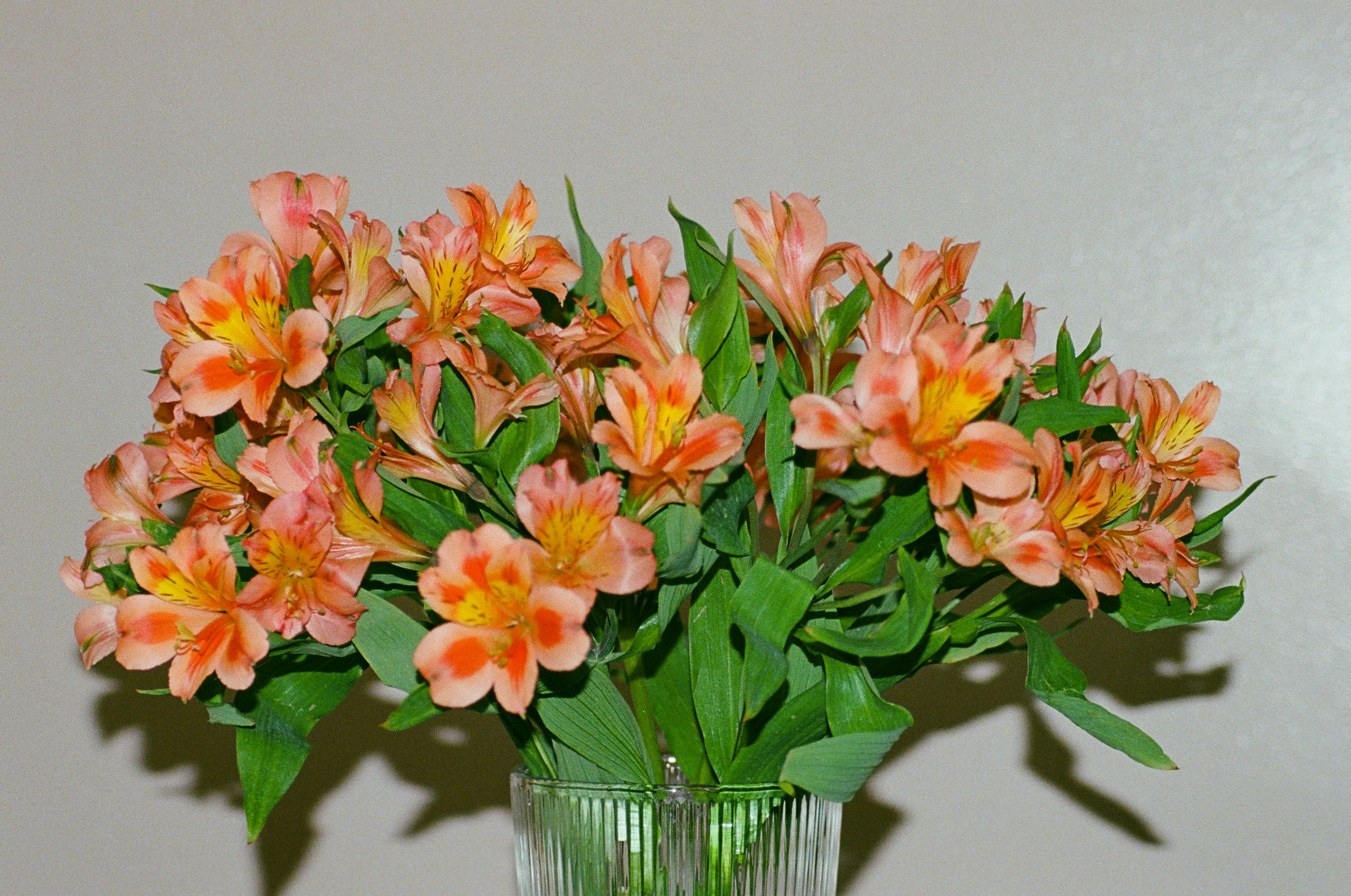 A bouquet of orange and yellow alstroemeria flowers in a clear glass vase