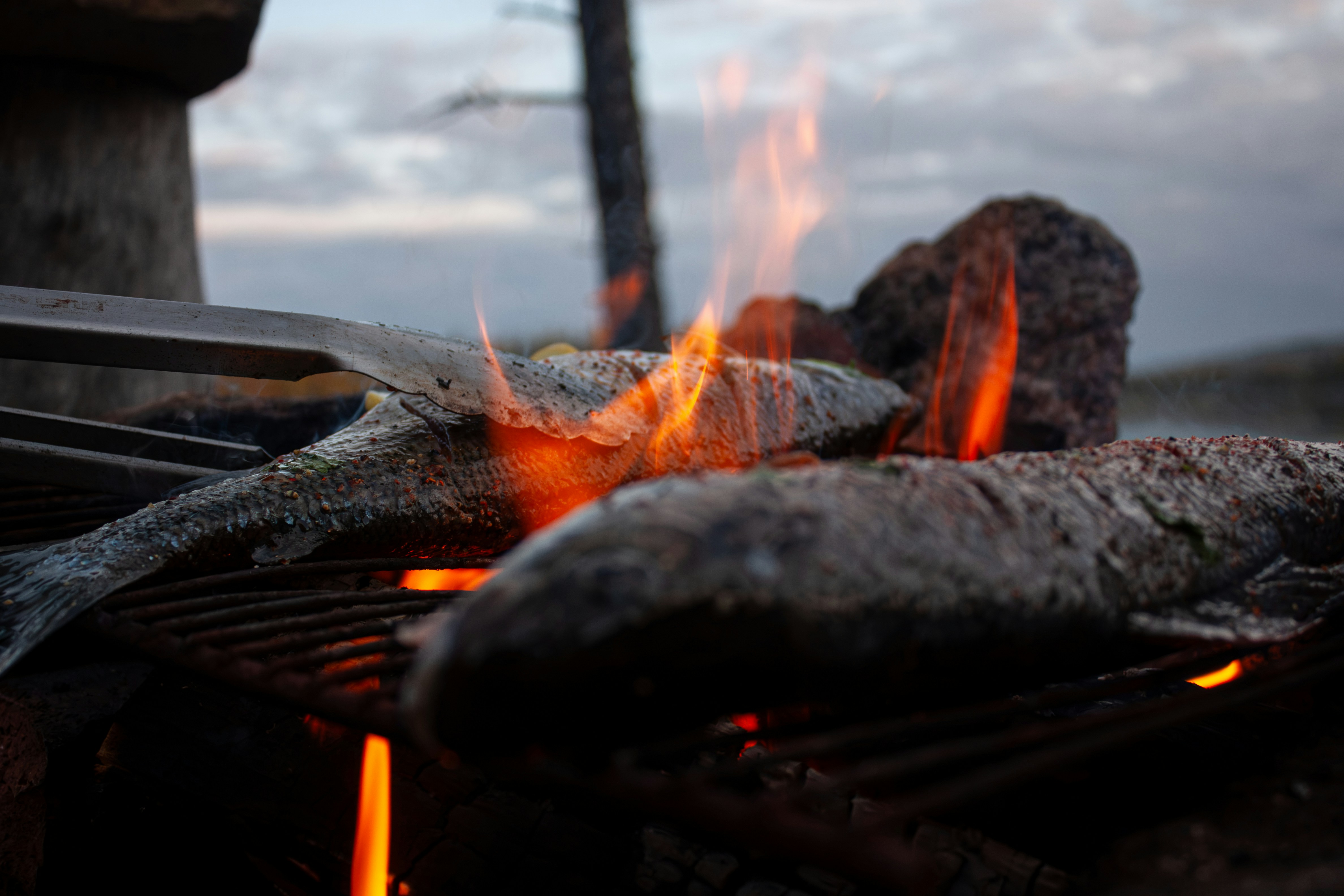 Grillfleisch auf traditionellem Rost