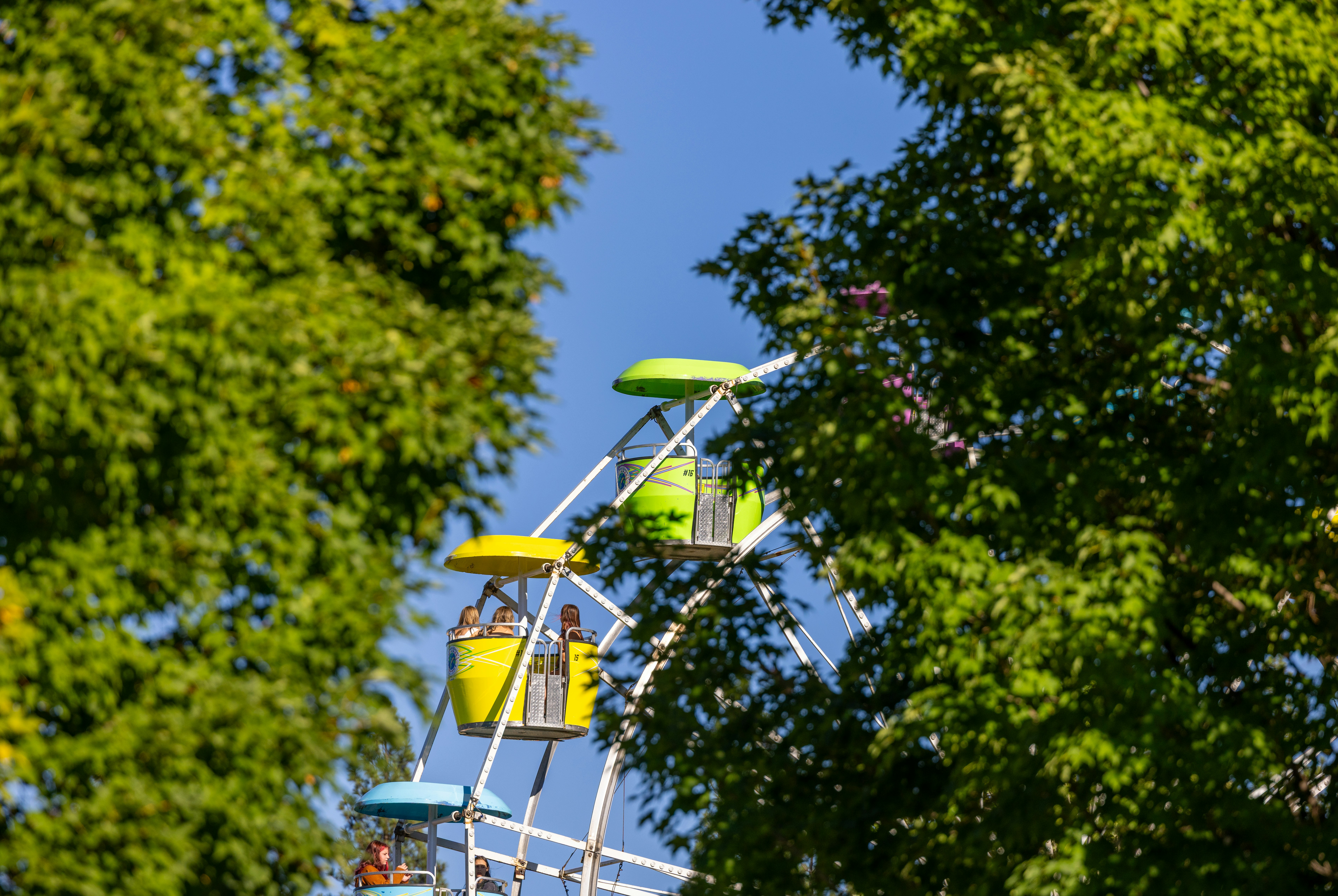 Colorful ferris wheel cars moving through green trees under a clear blue sky