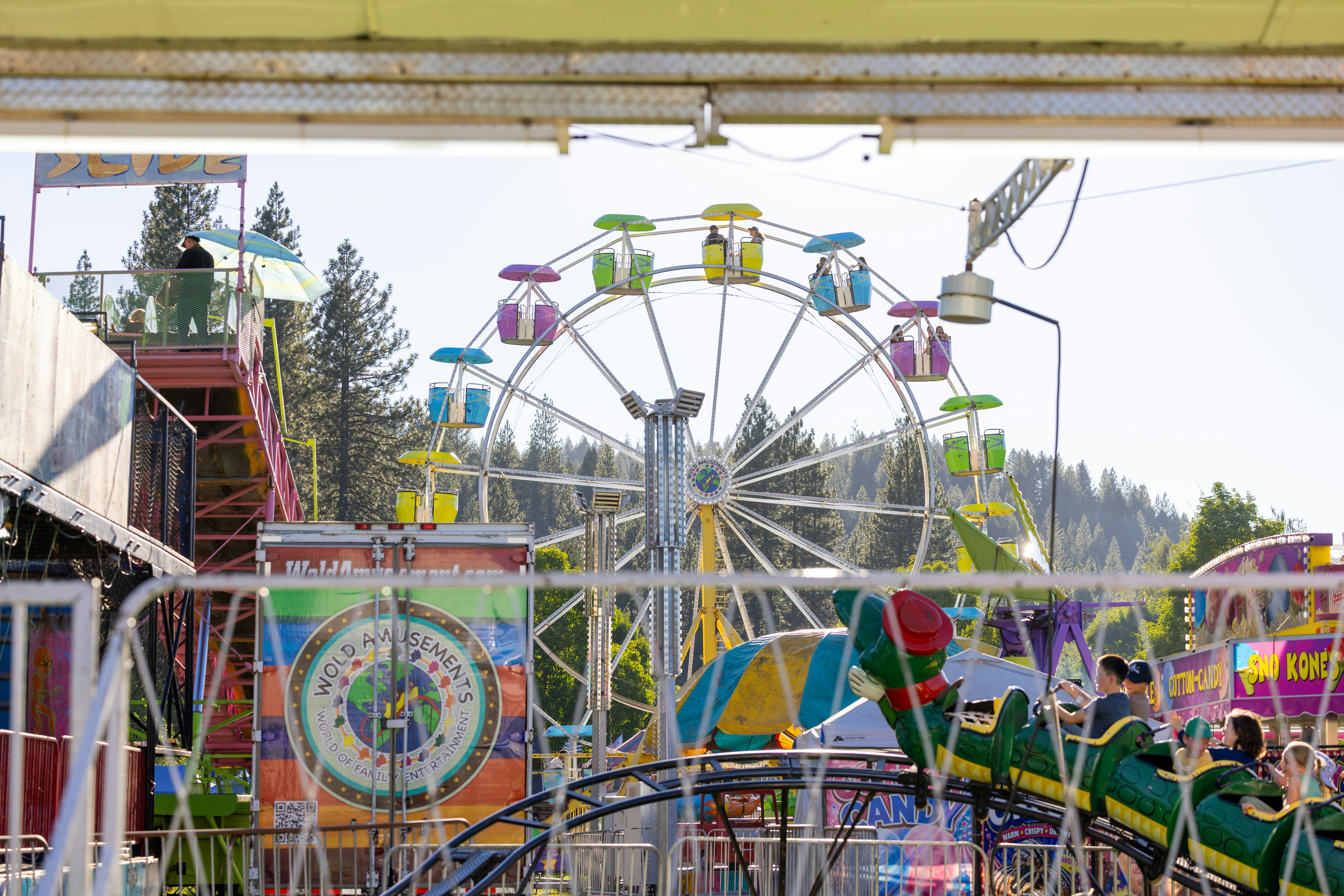 A colorful ferris wheel and carnival rides at a fairground with pine trees