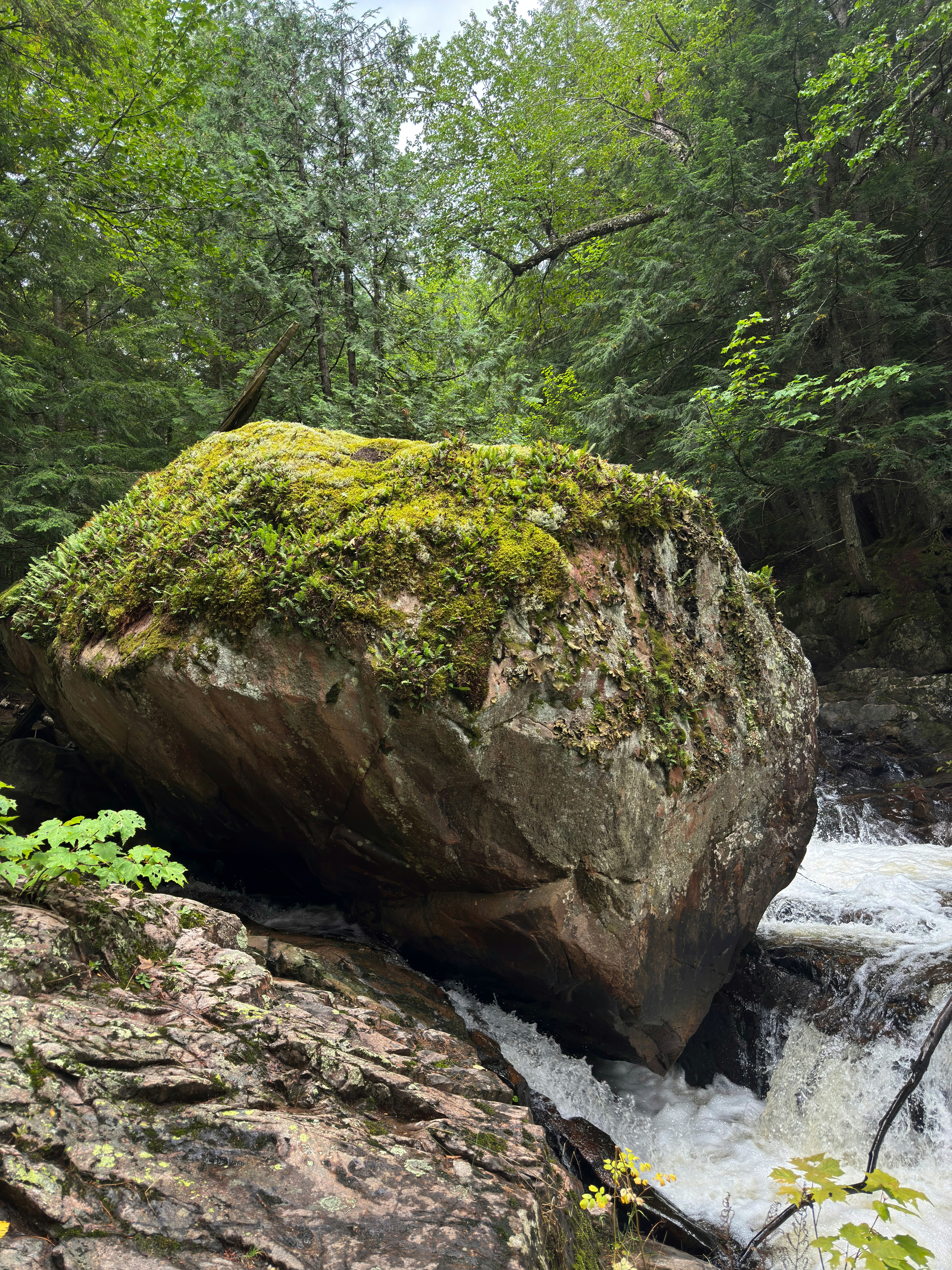 Massive Moss-Covered Boulder Resting by Cascading Forest Rapids