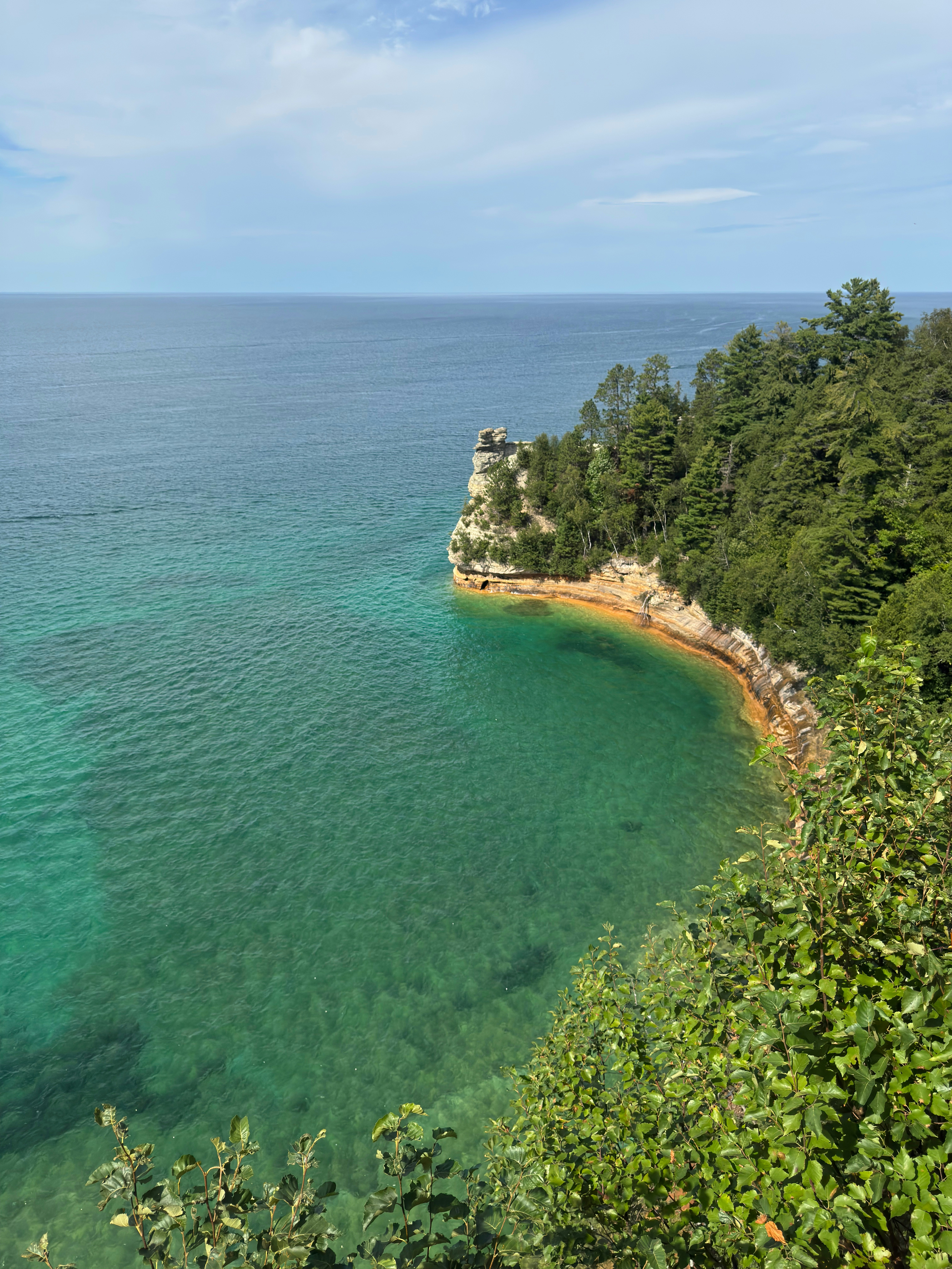 A rocky cliff with pine trees overlooking clear turquoise water in a bay