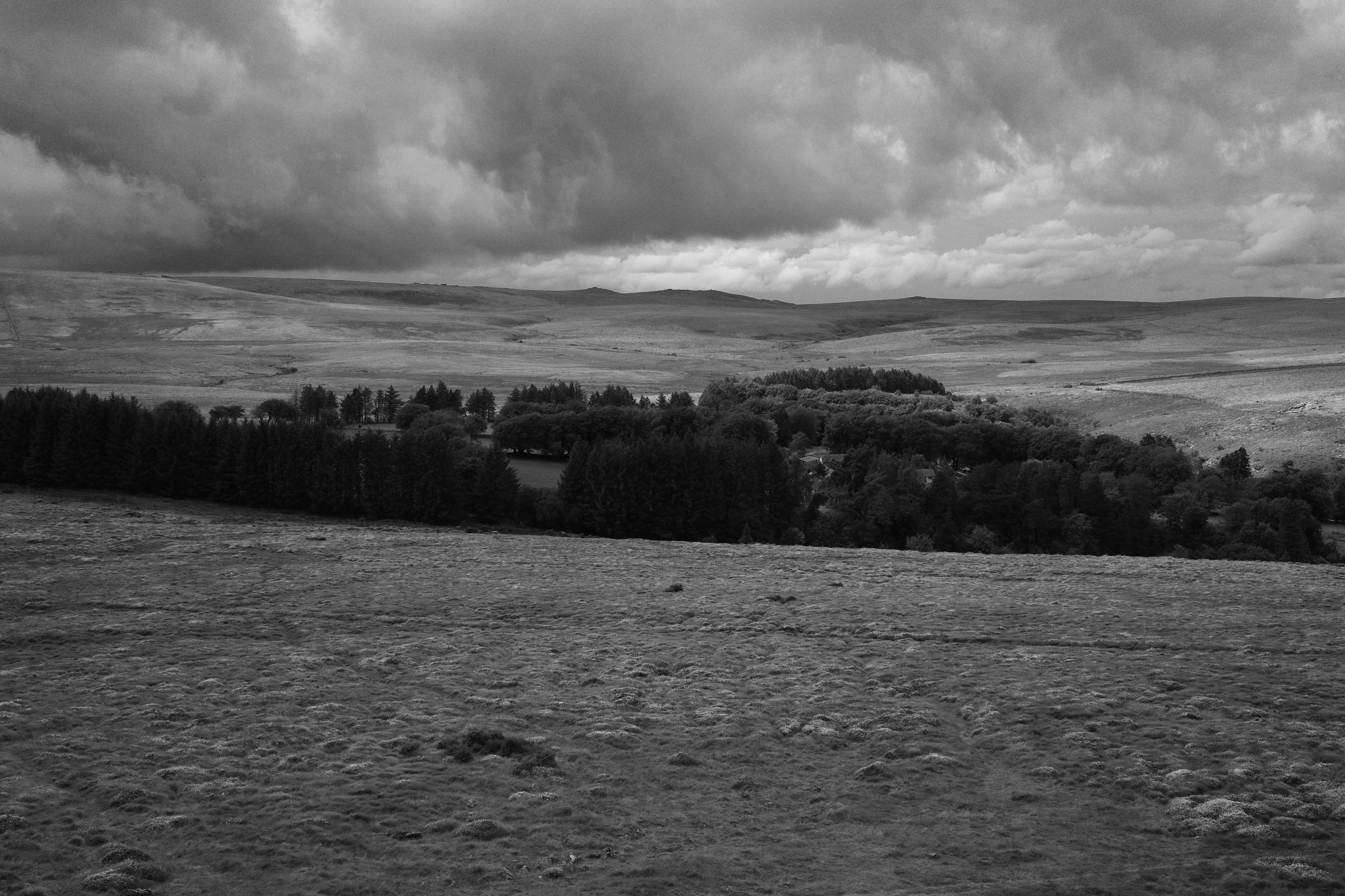 A black and white landscape of rolling moorland with a dense forest under clouds