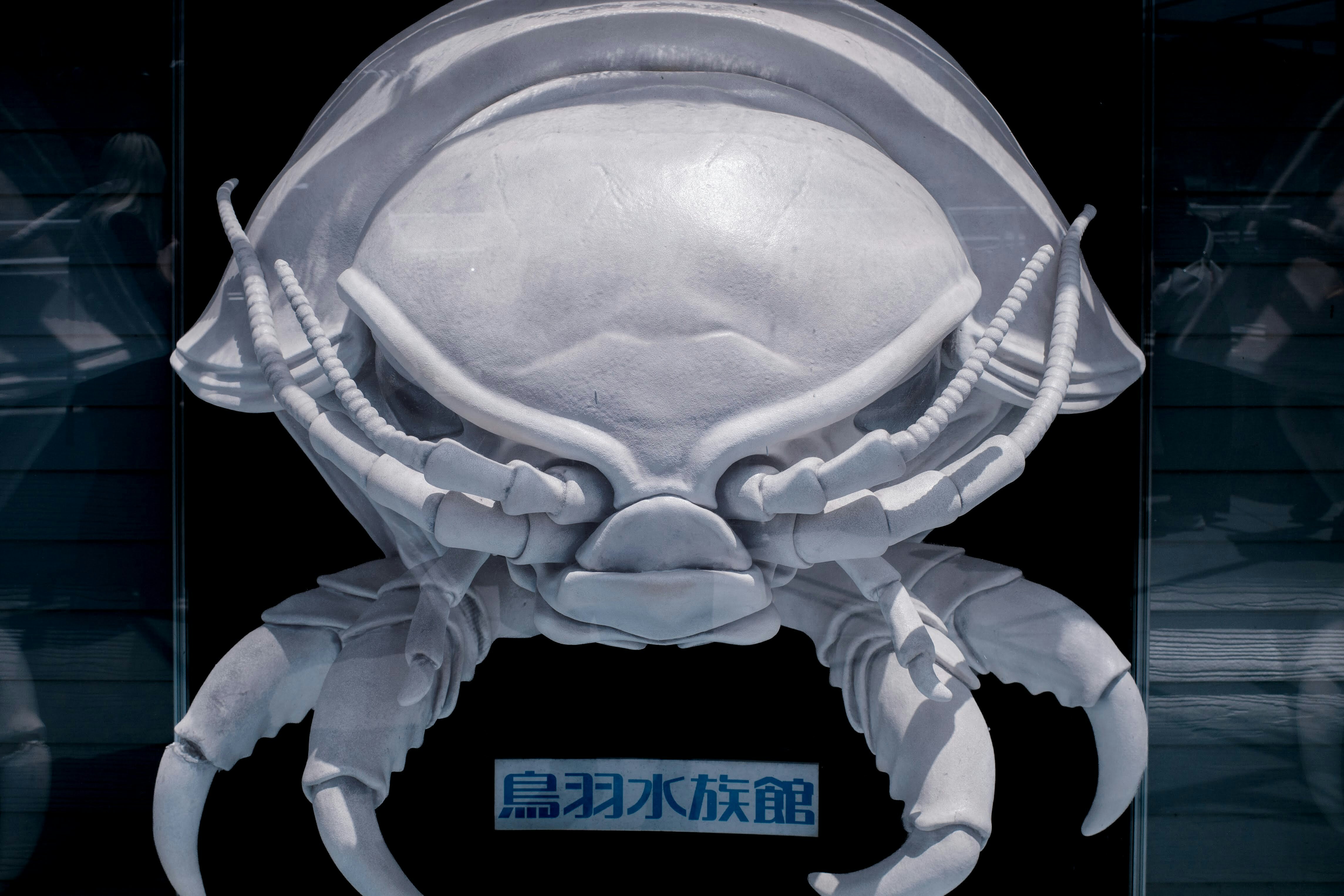 A white giant isopod sculpture with a sign reading "鳥羽水族館" below it