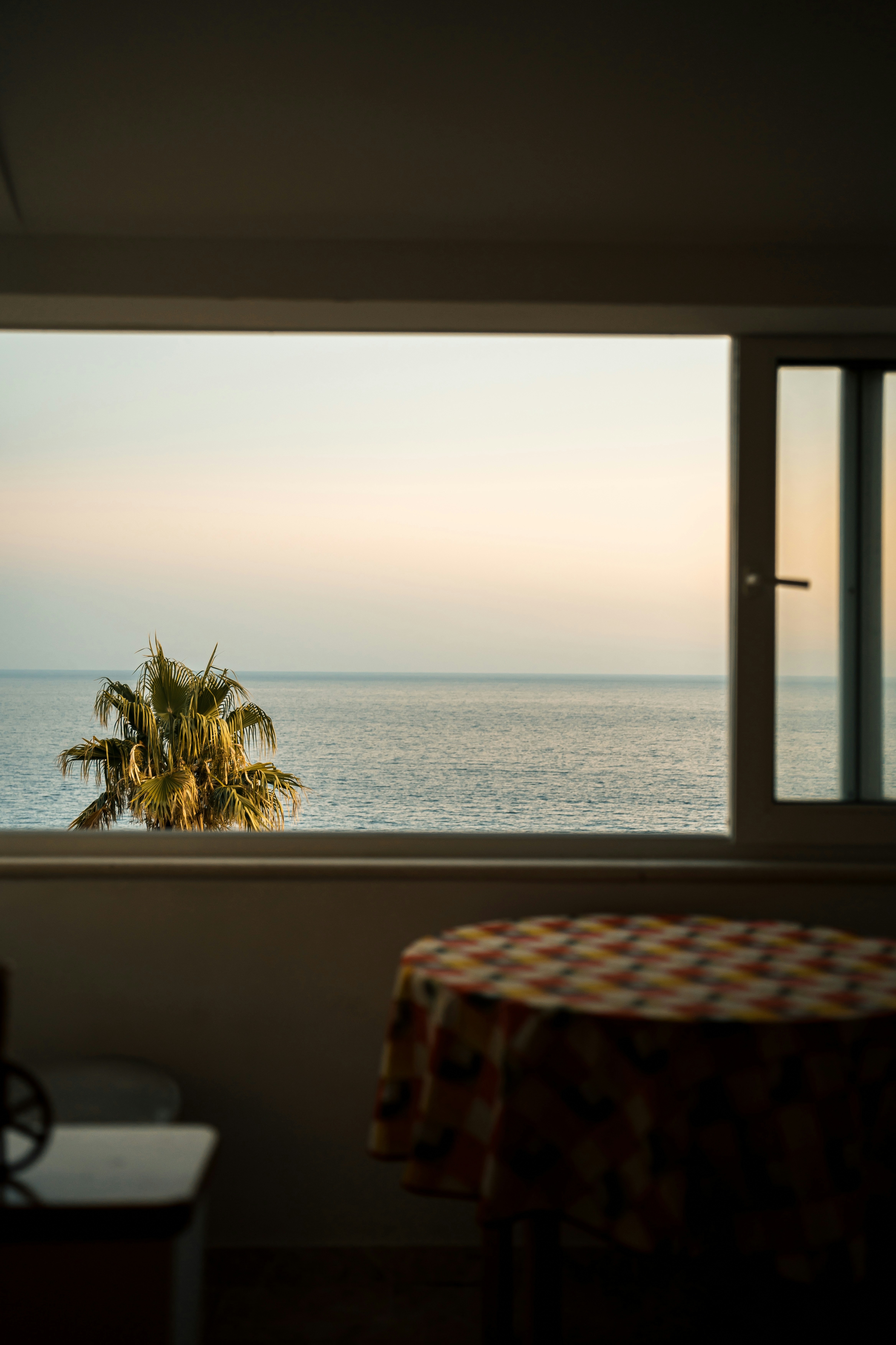 A palm tree seen through a window overlooking the calm sea at golden hour