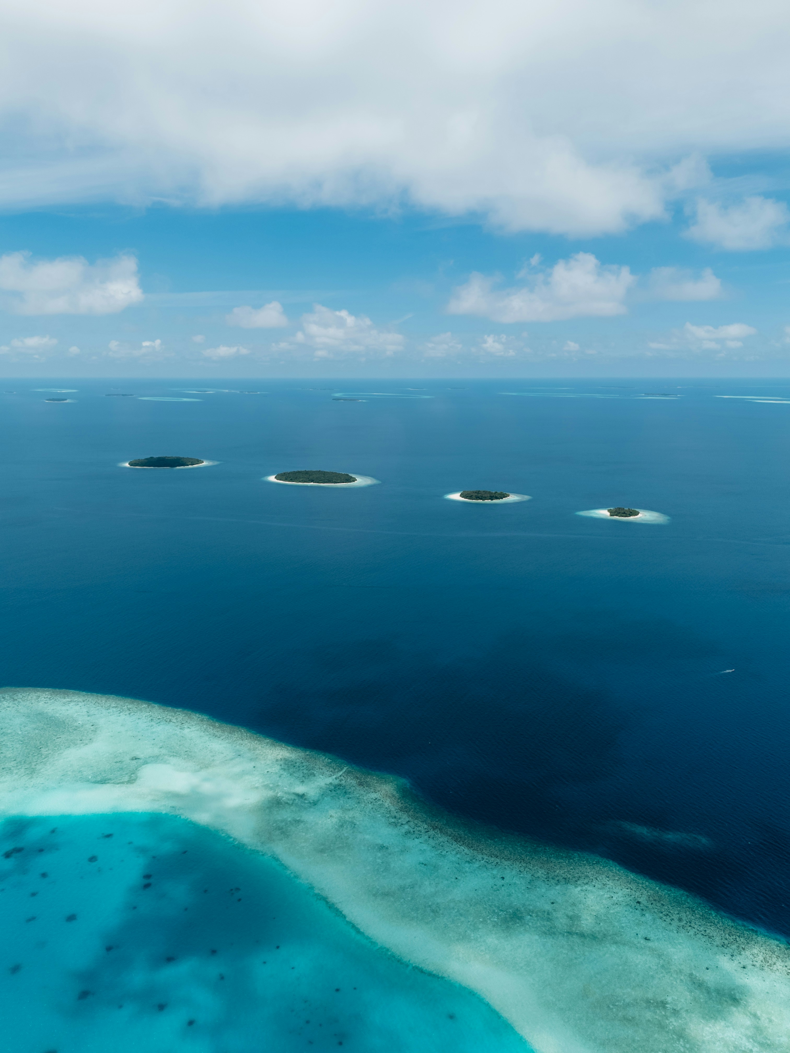 Birdlife, Coastlines, and the Wild Edge of the Atlantic