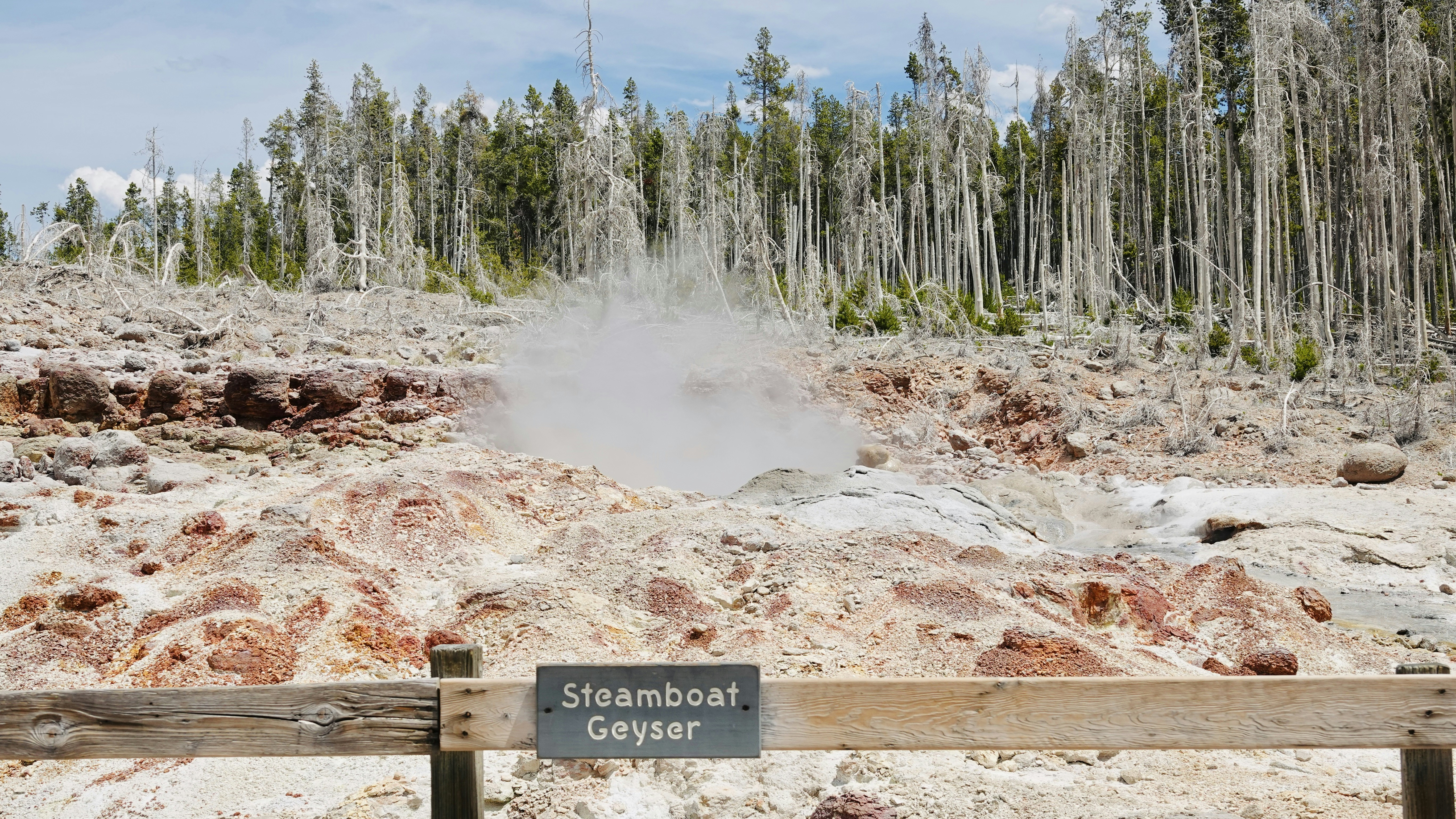 Vapore che si alza dal Geyser di Steamboat in un paesaggio roccioso con alberi morti