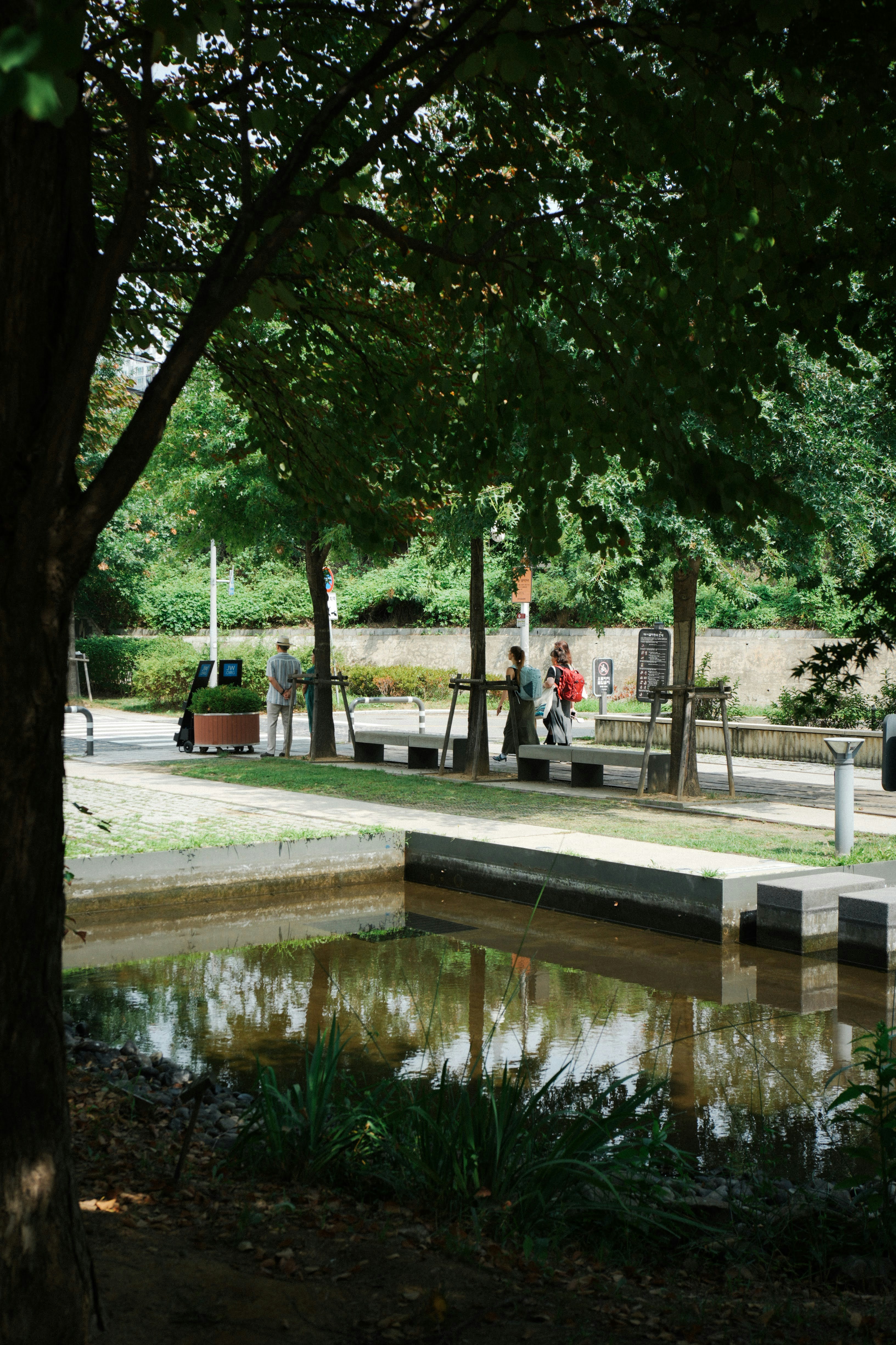 People walking along a path beside a small pond in a park