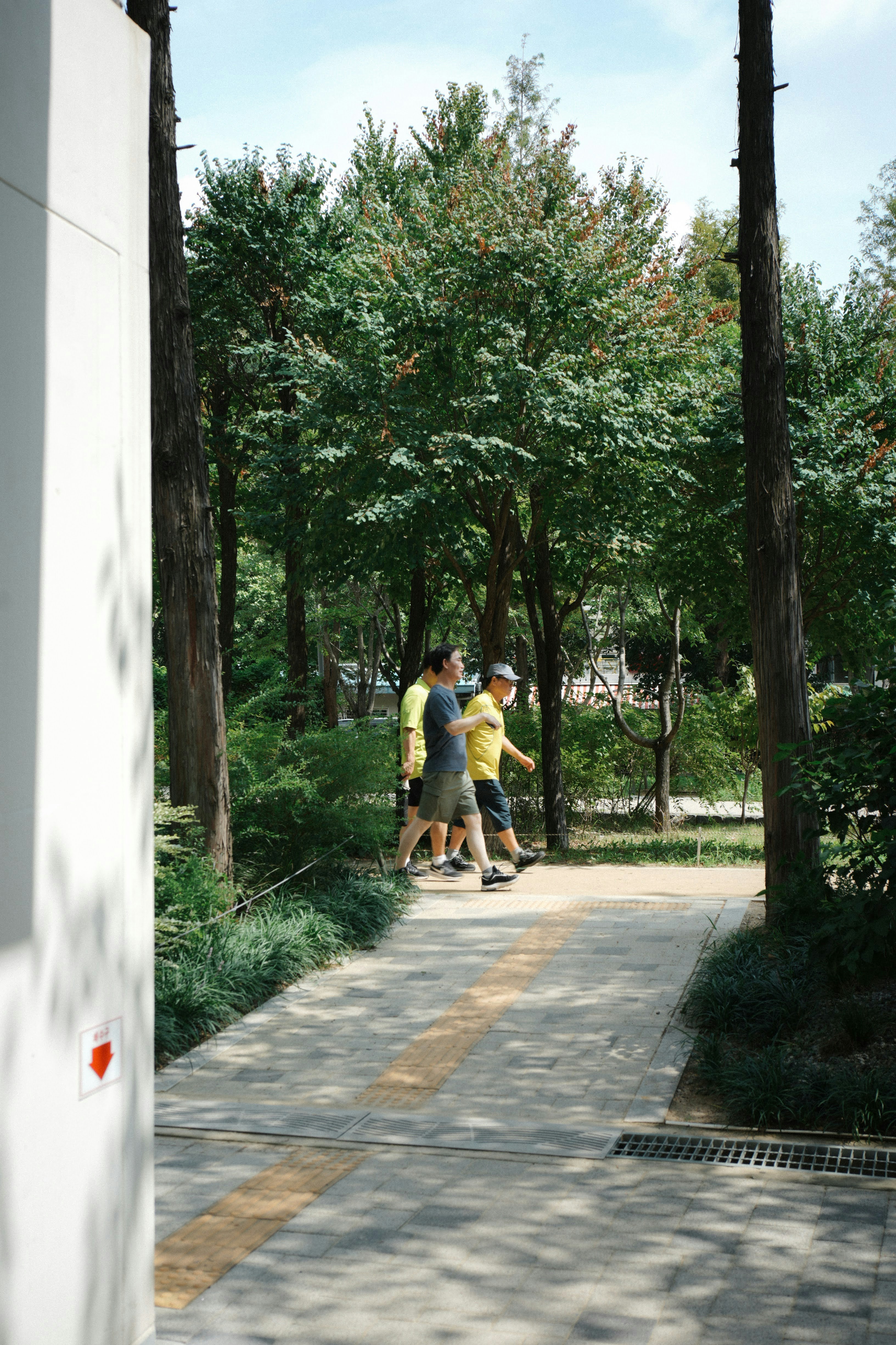 Three people walking along a paved path through a sunlit park with trees