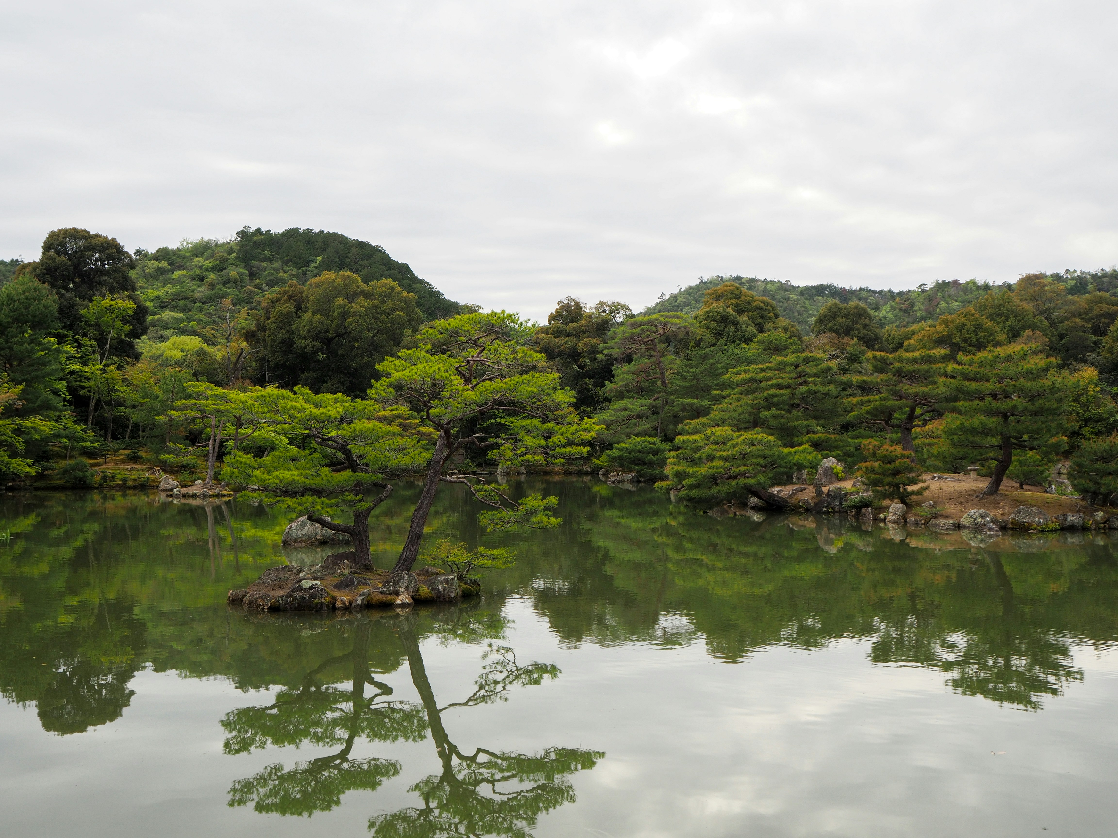 穏やかな池の中の岩だらけの島にある小さな松の木