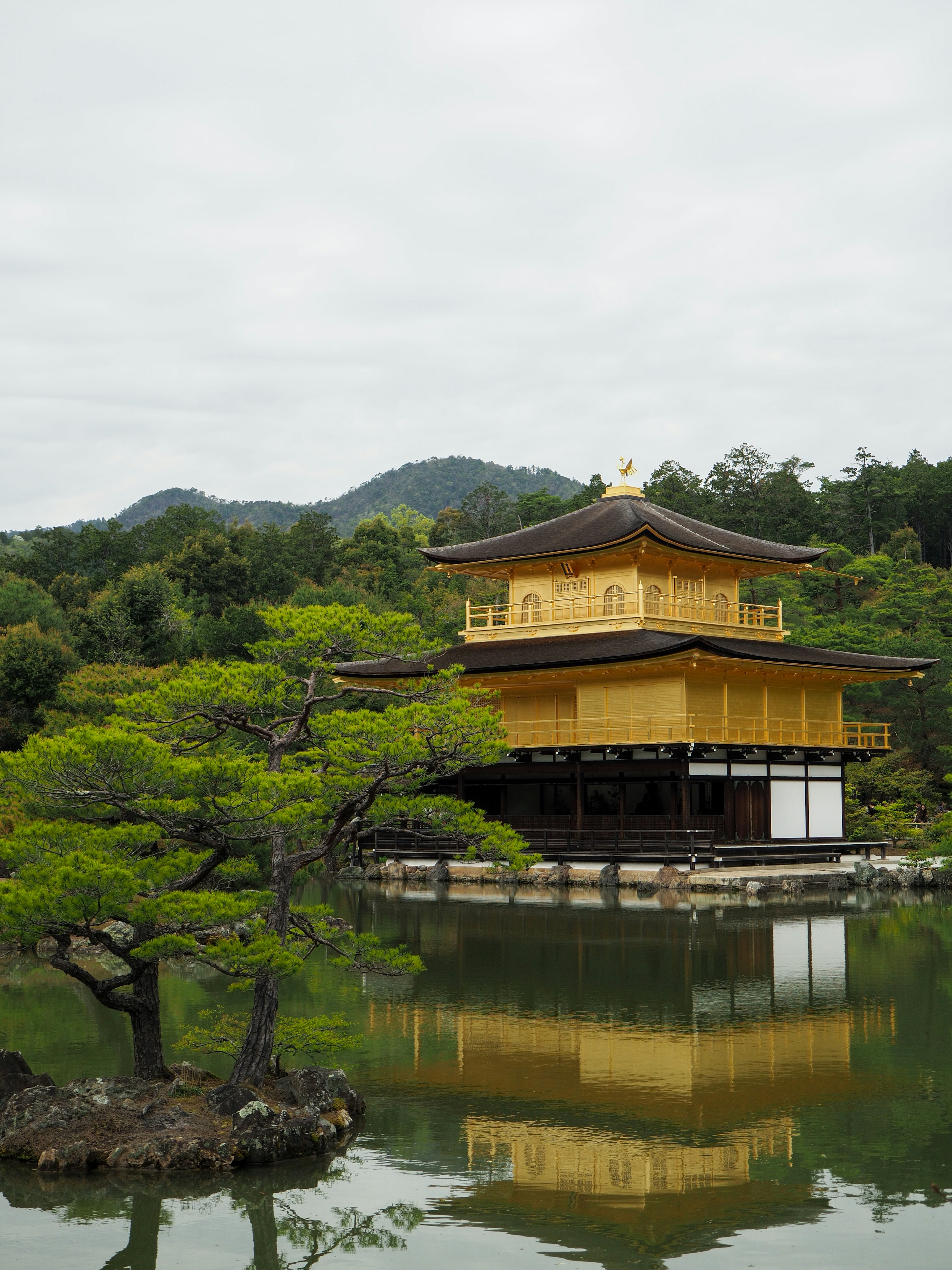 京都の池に映る金箔の外壁を持つ金閣寺