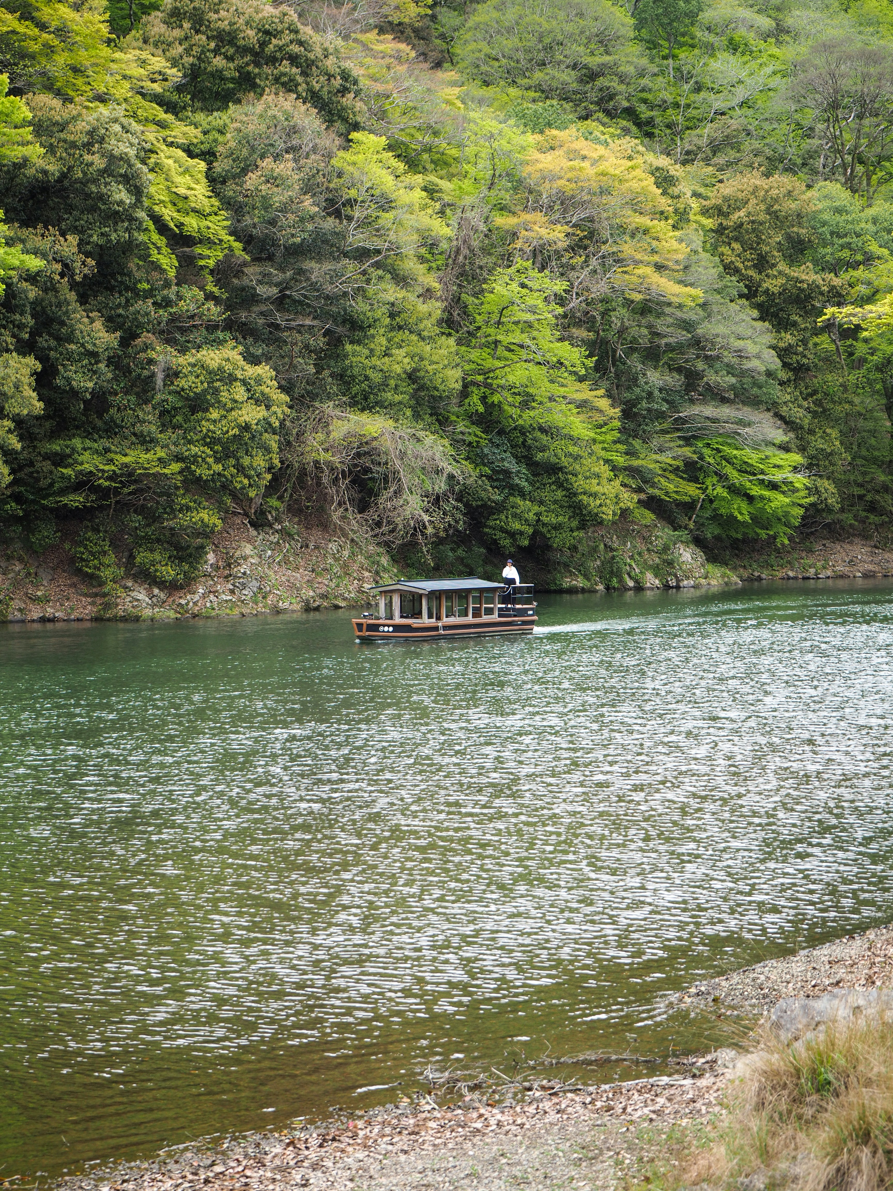 緑豊かな木々が並ぶ川沿いを伝統的な木造船で進む