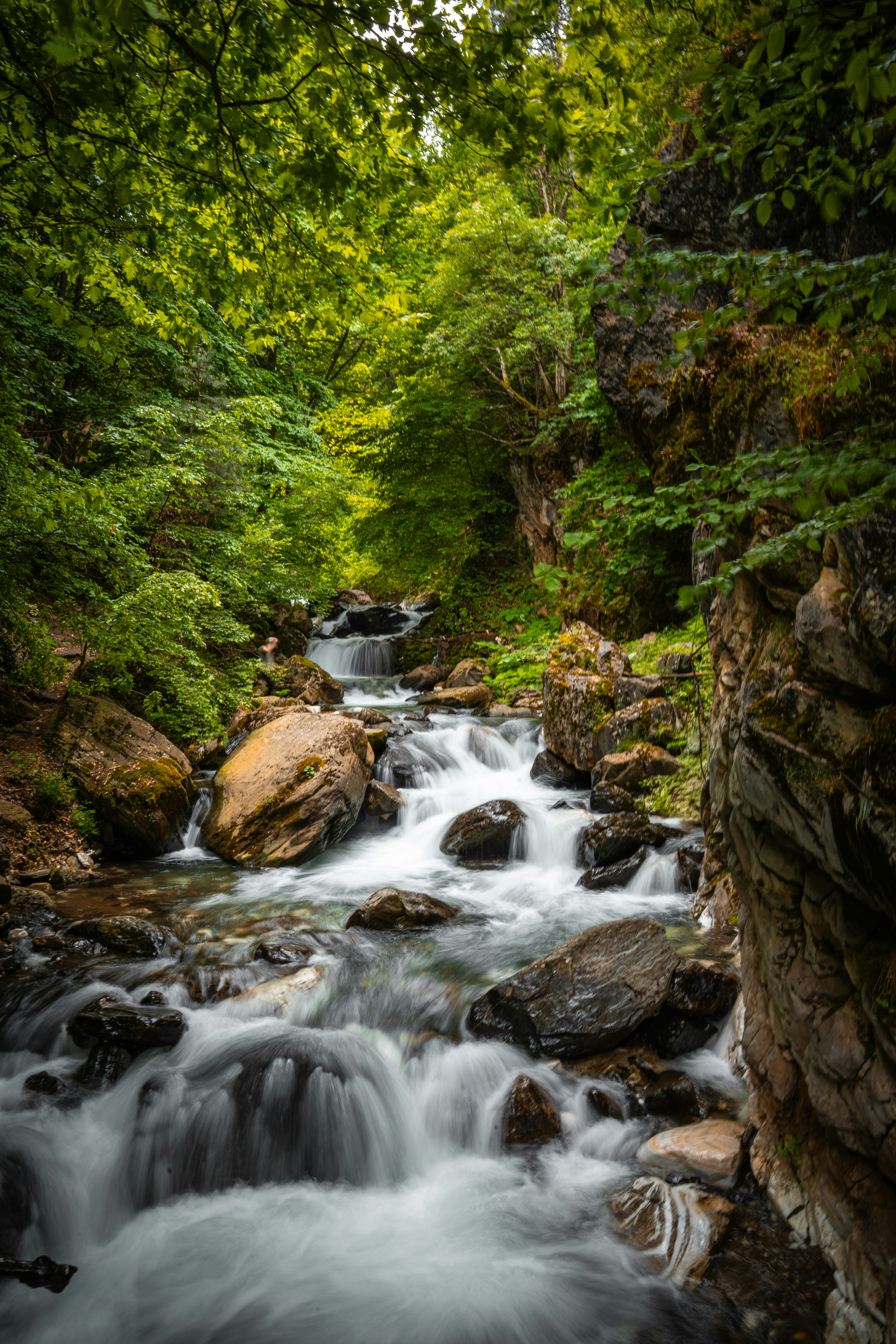A long exposure of a mountain stream flowing over rocks through a lush forest