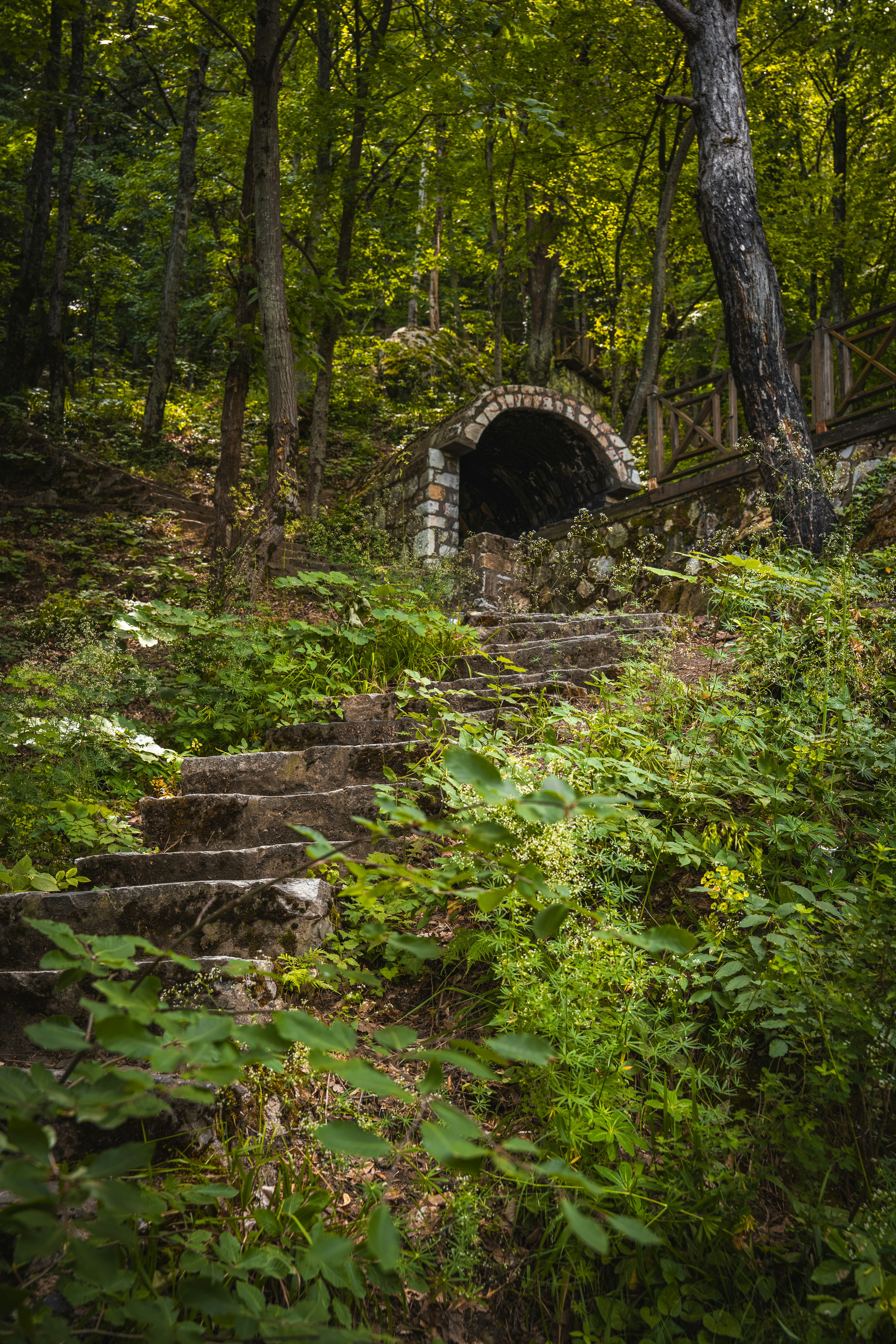 Stone stairs leading to a brick arched tunnel in a lush green forest