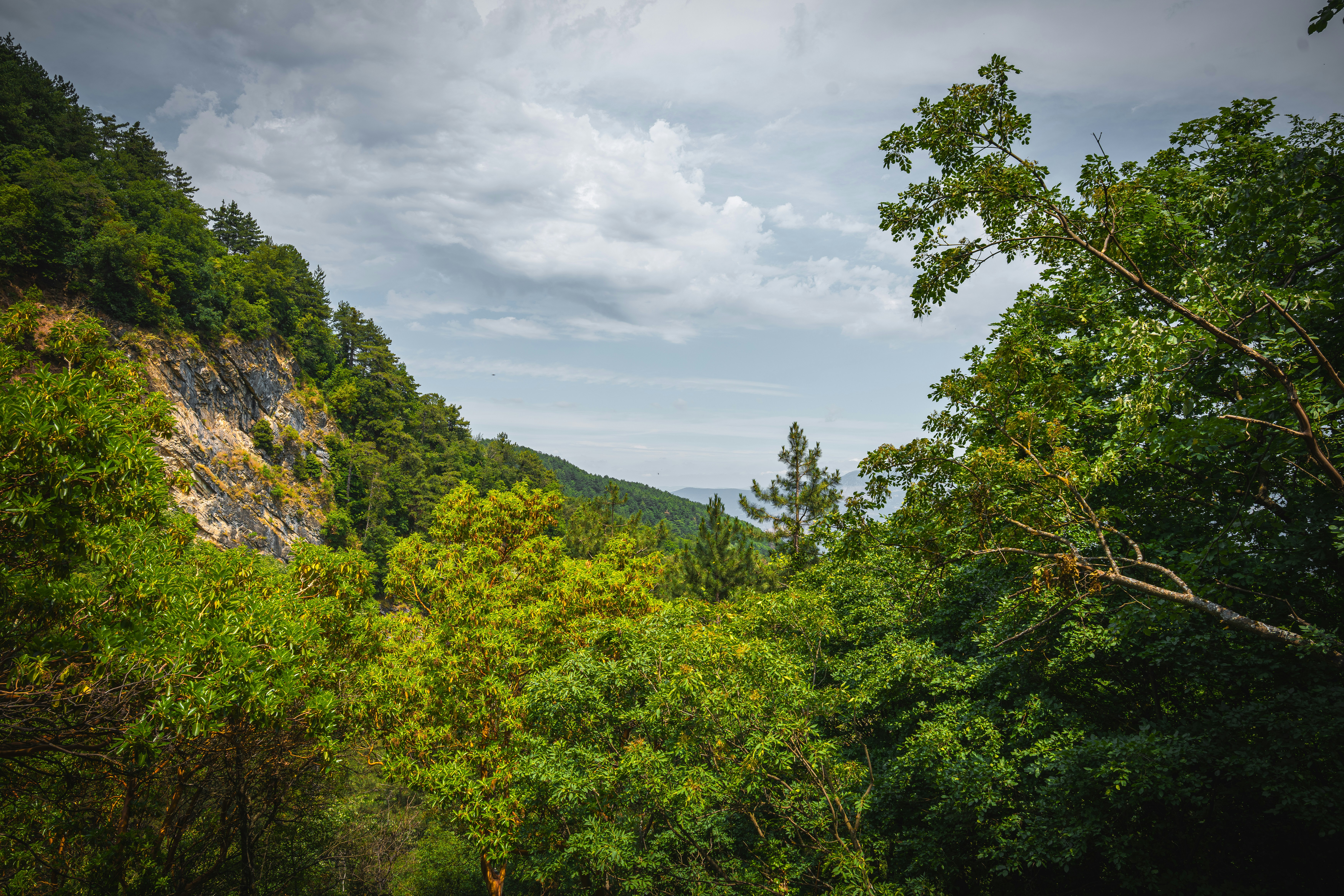 Lush green trees on a steep rocky hillside under a cloudy sky