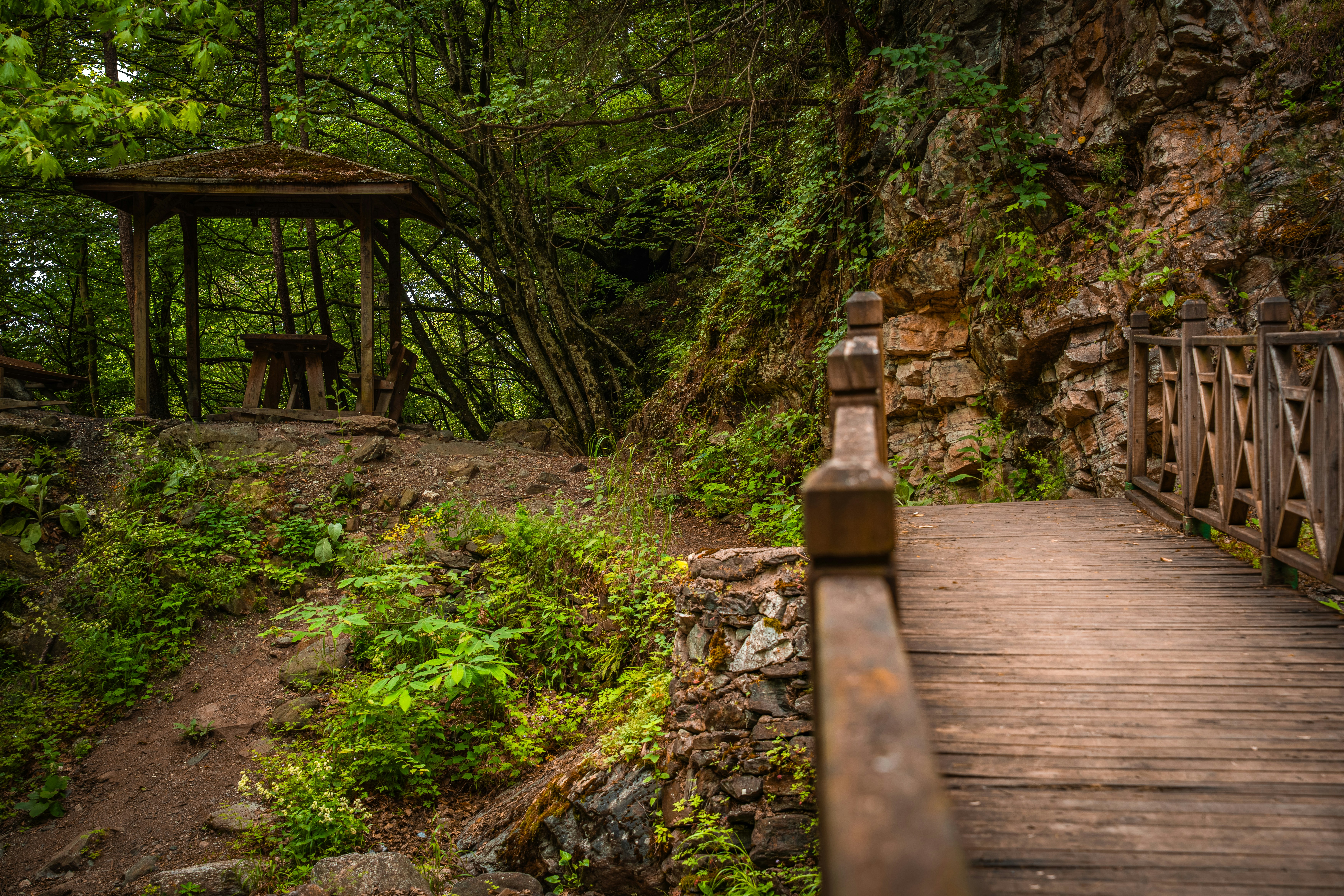 A wooden footbridge leading toward a gazebo in a lush green forest