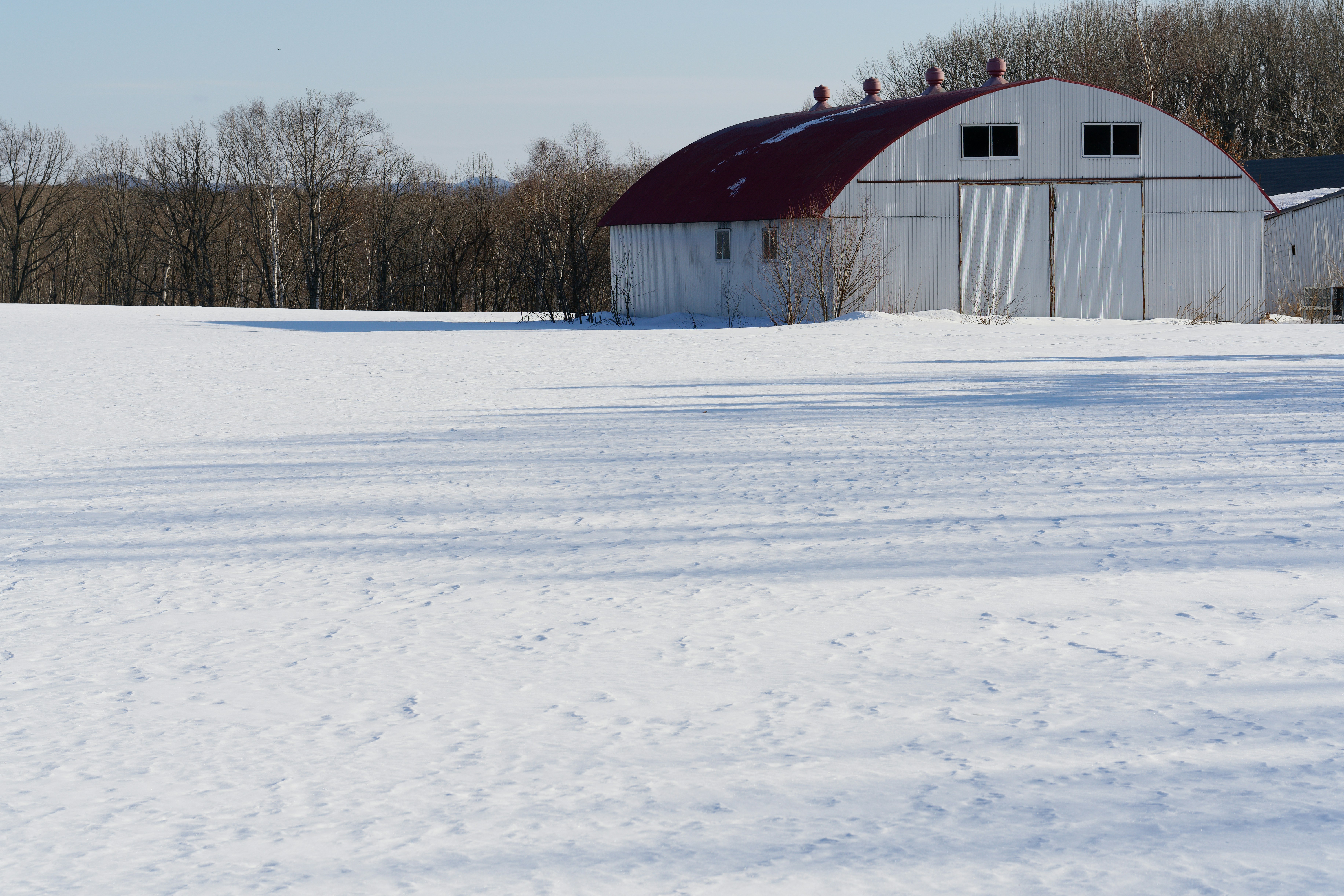 Um celeiro branco com telhado arqueado vermelho em um campo coberto de neve