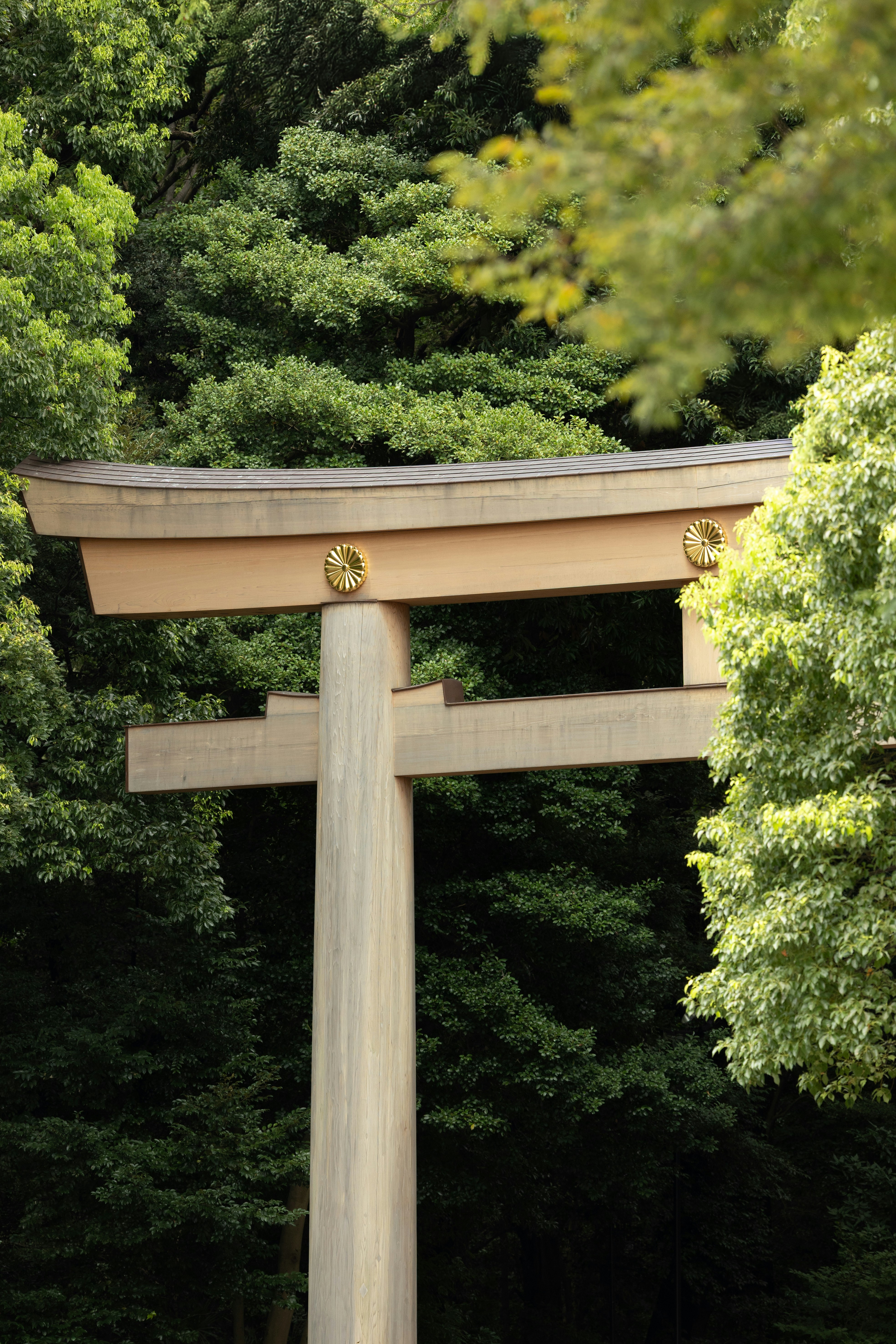 Une porte torii en bois avec des emblèmes dorés sur une forêt verte dense