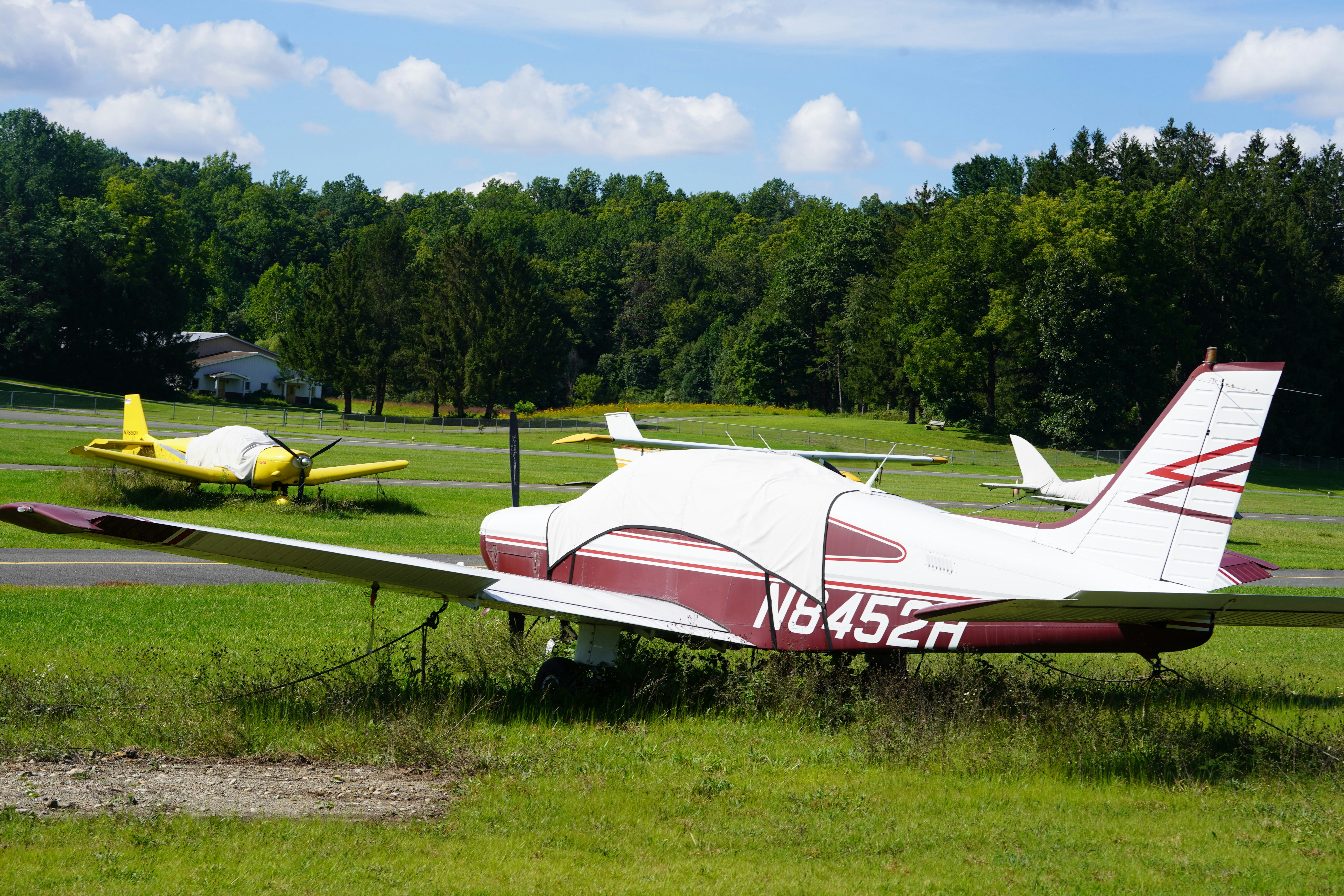 Small light aircraft parked on a grassy airfield with trees in the background