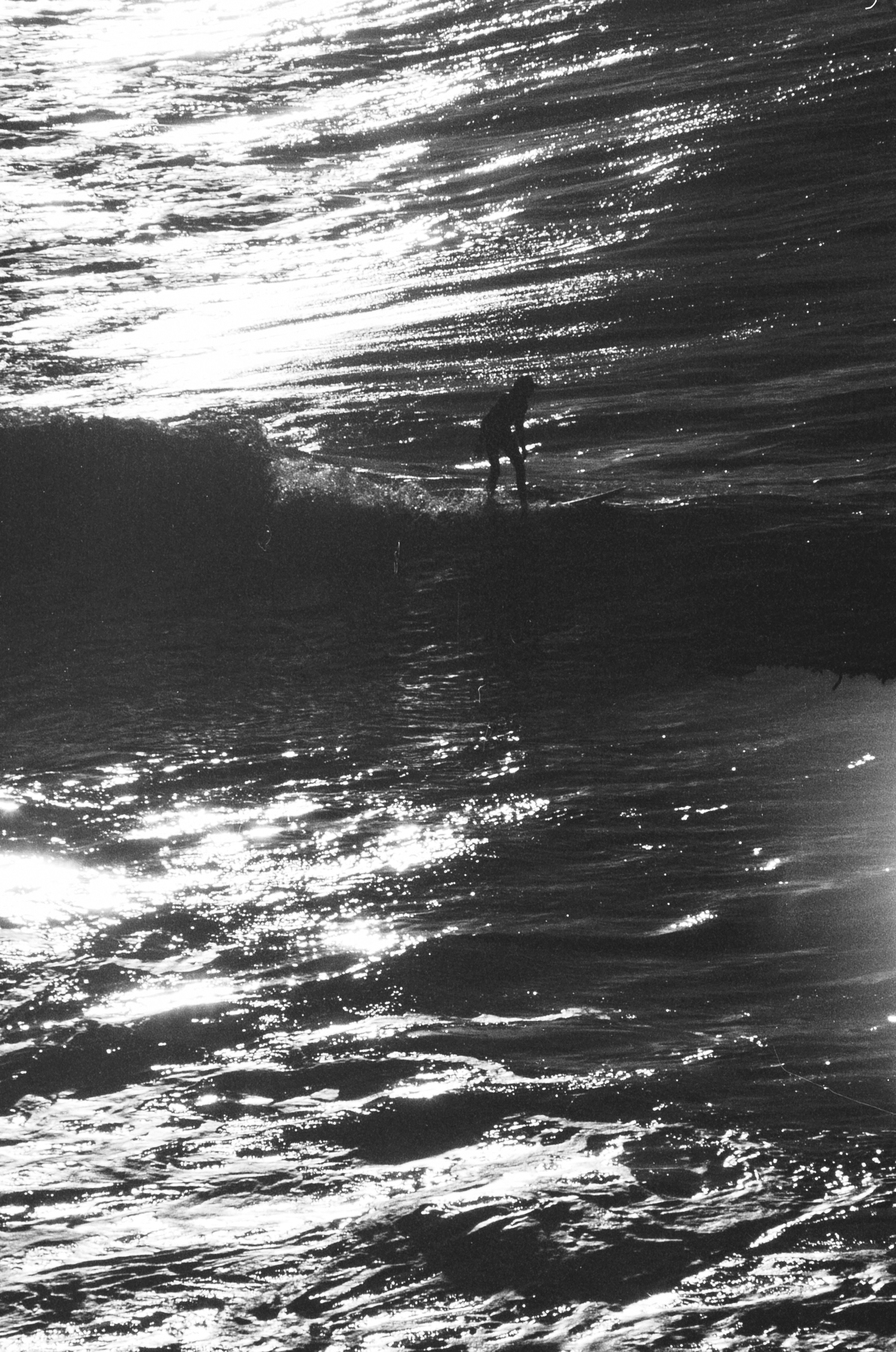 Surfer in silhouette on ocean wave - Free Photo on Unsplash