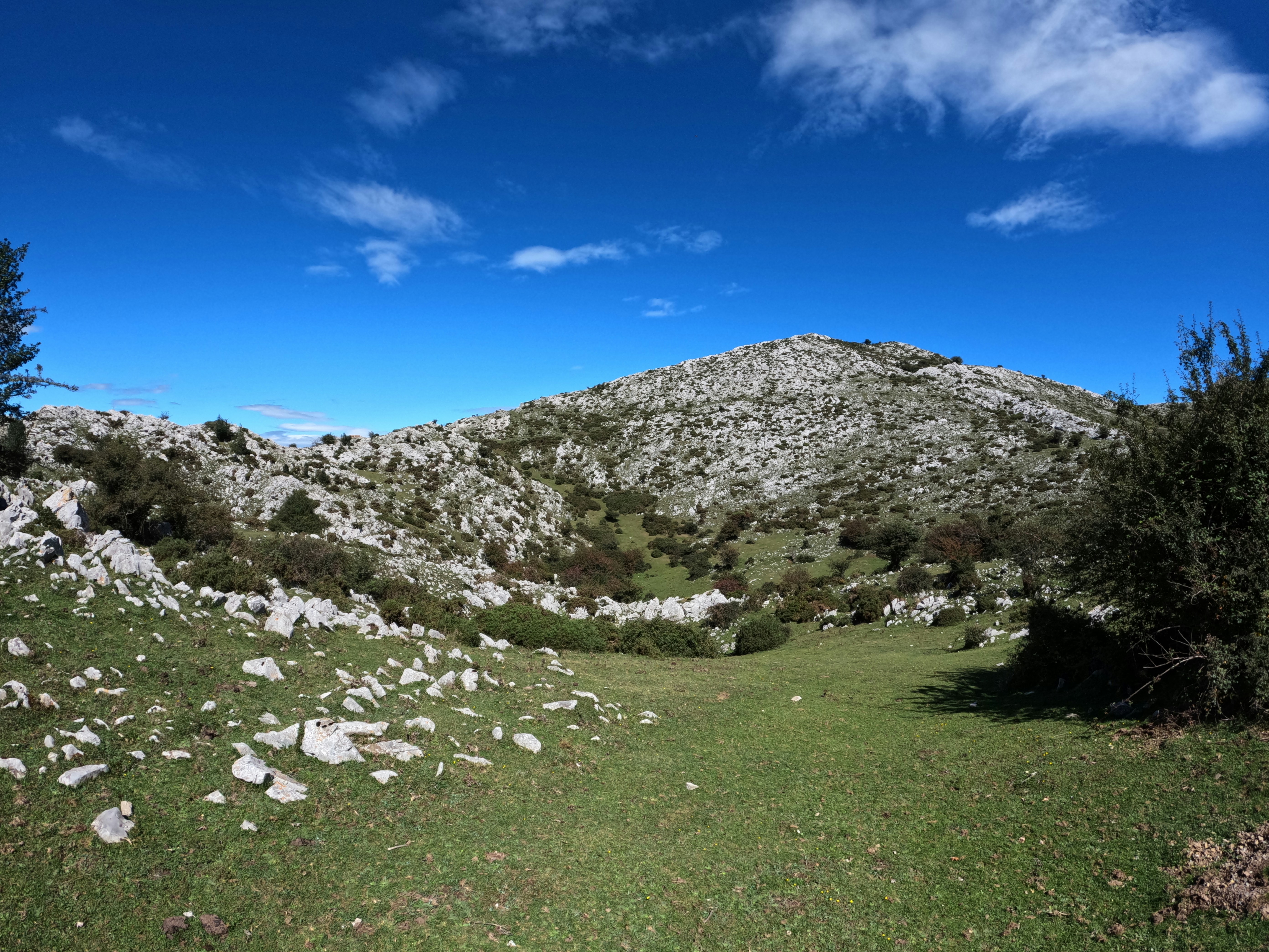Una ladera rocosa de montaña con hierba verde y arbustos dispersos bajo un cielo azul