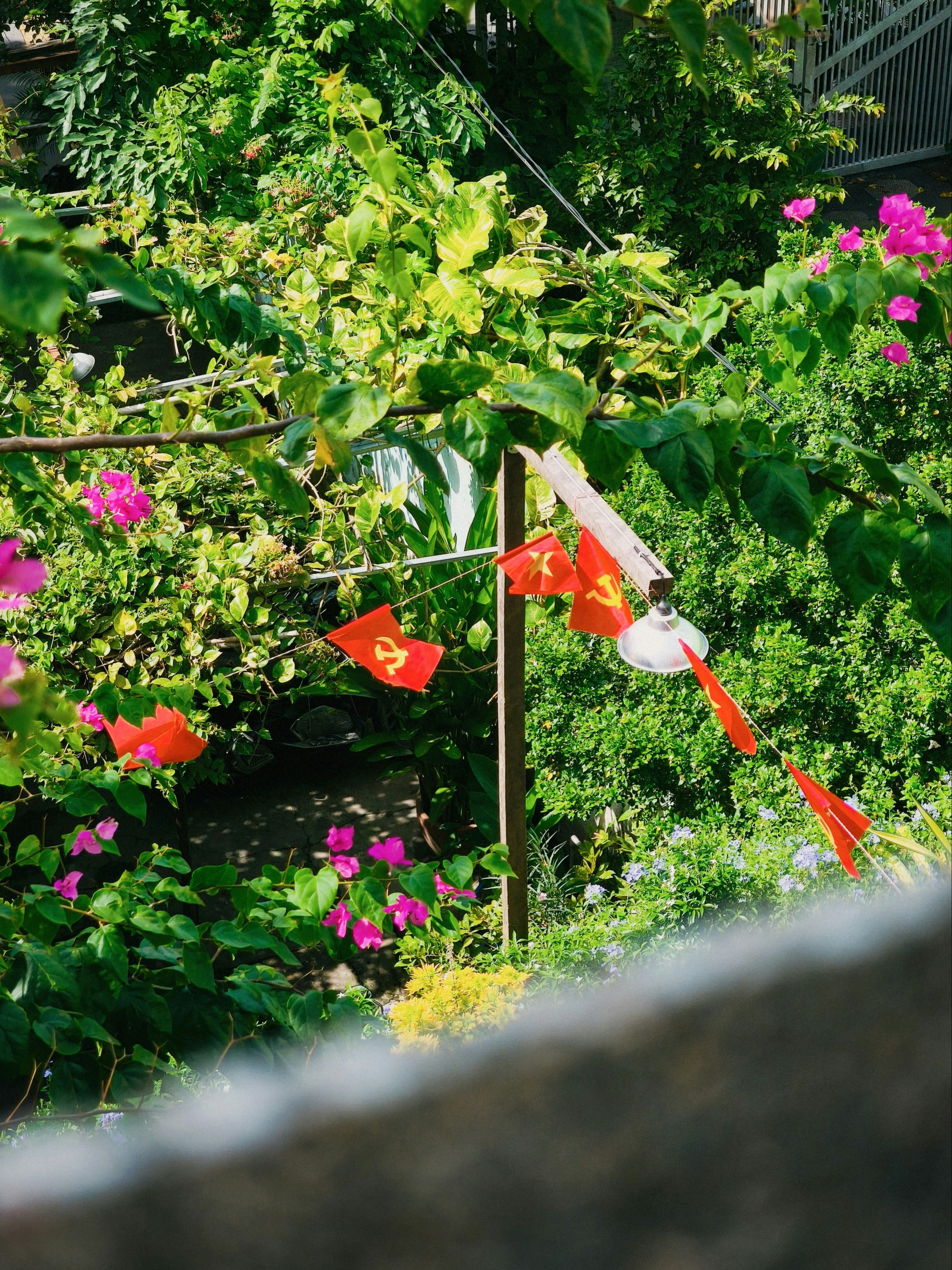 Red flags with yellow hammer and sickle symbols hanging in a lush green garden