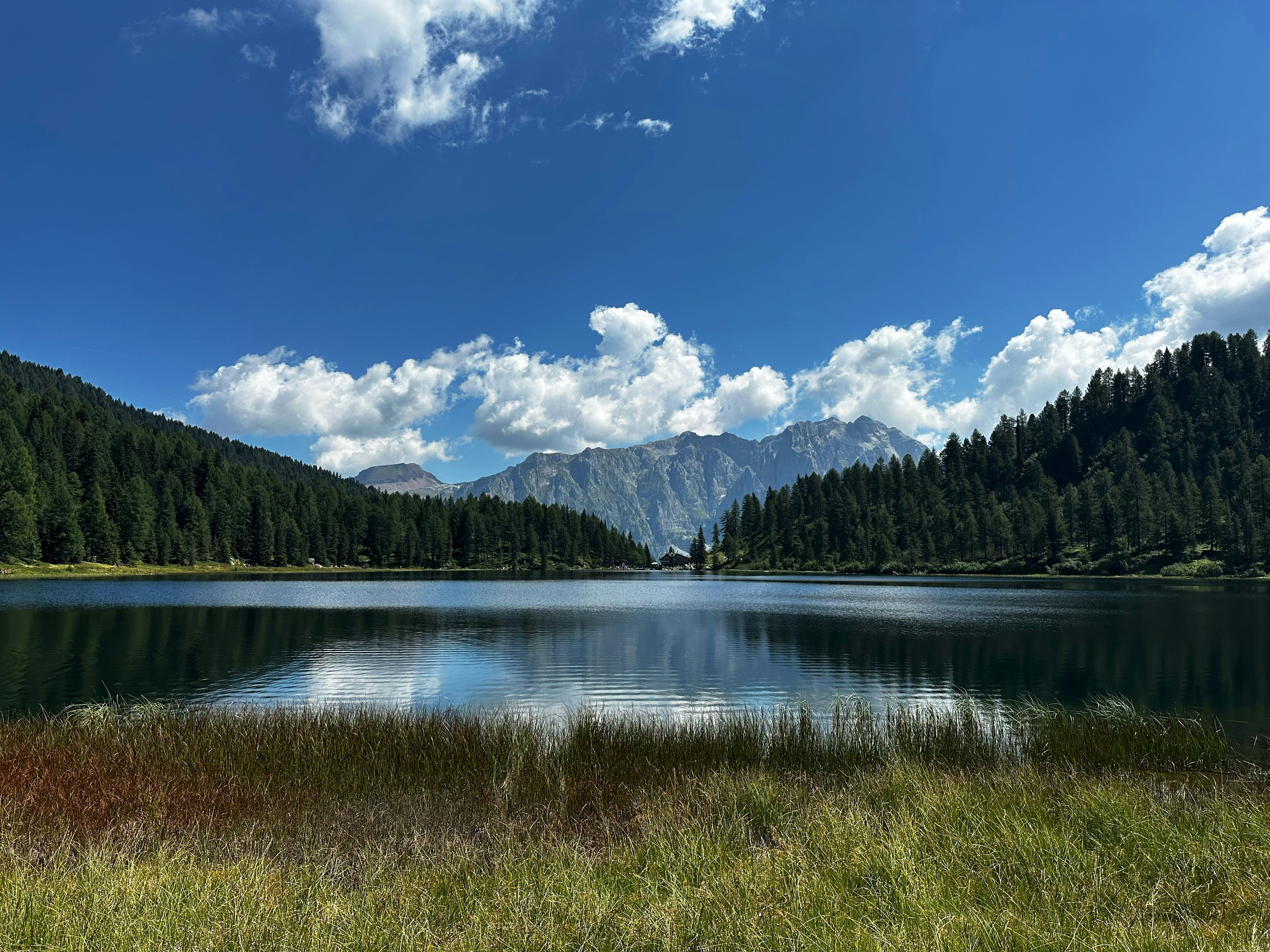 Lake reflecting mountains and pine forest - Free Photo on Unsplash