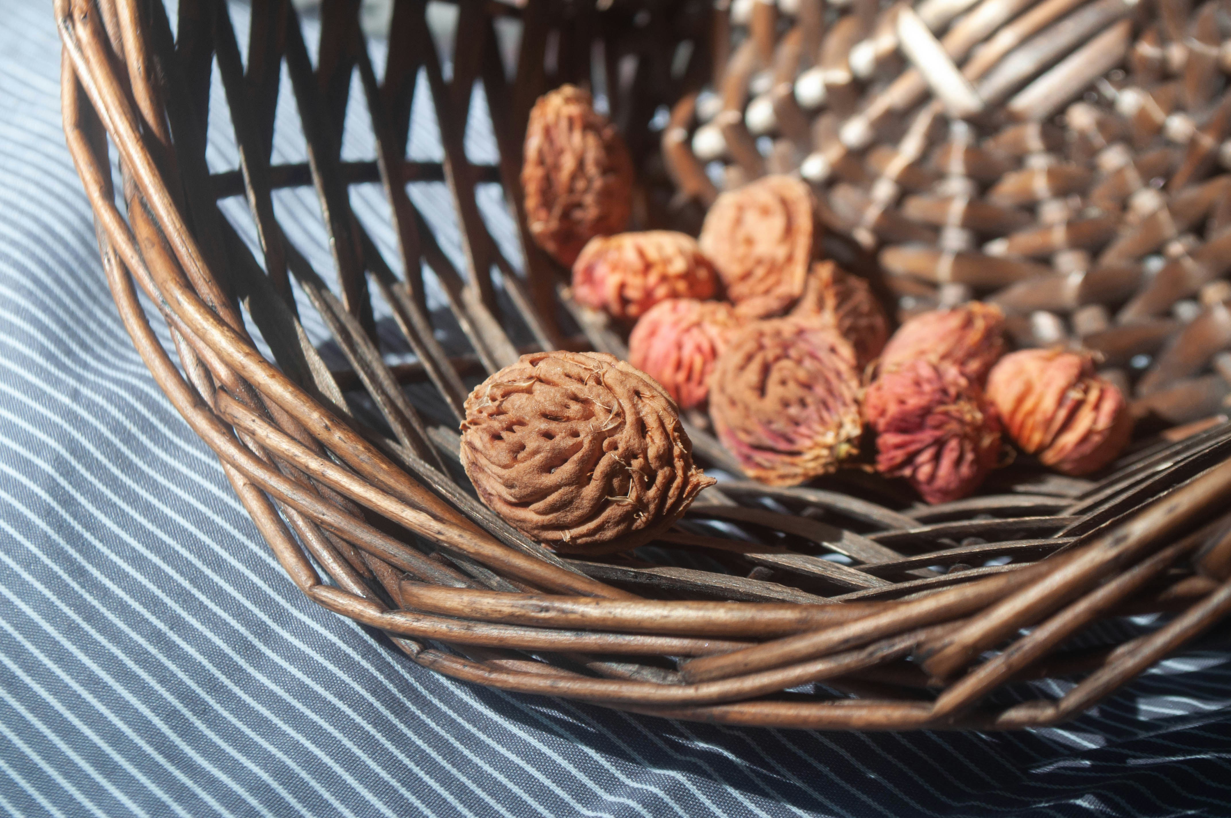 Dried peach pits in a woven wicker basket on a striped fabric surface
