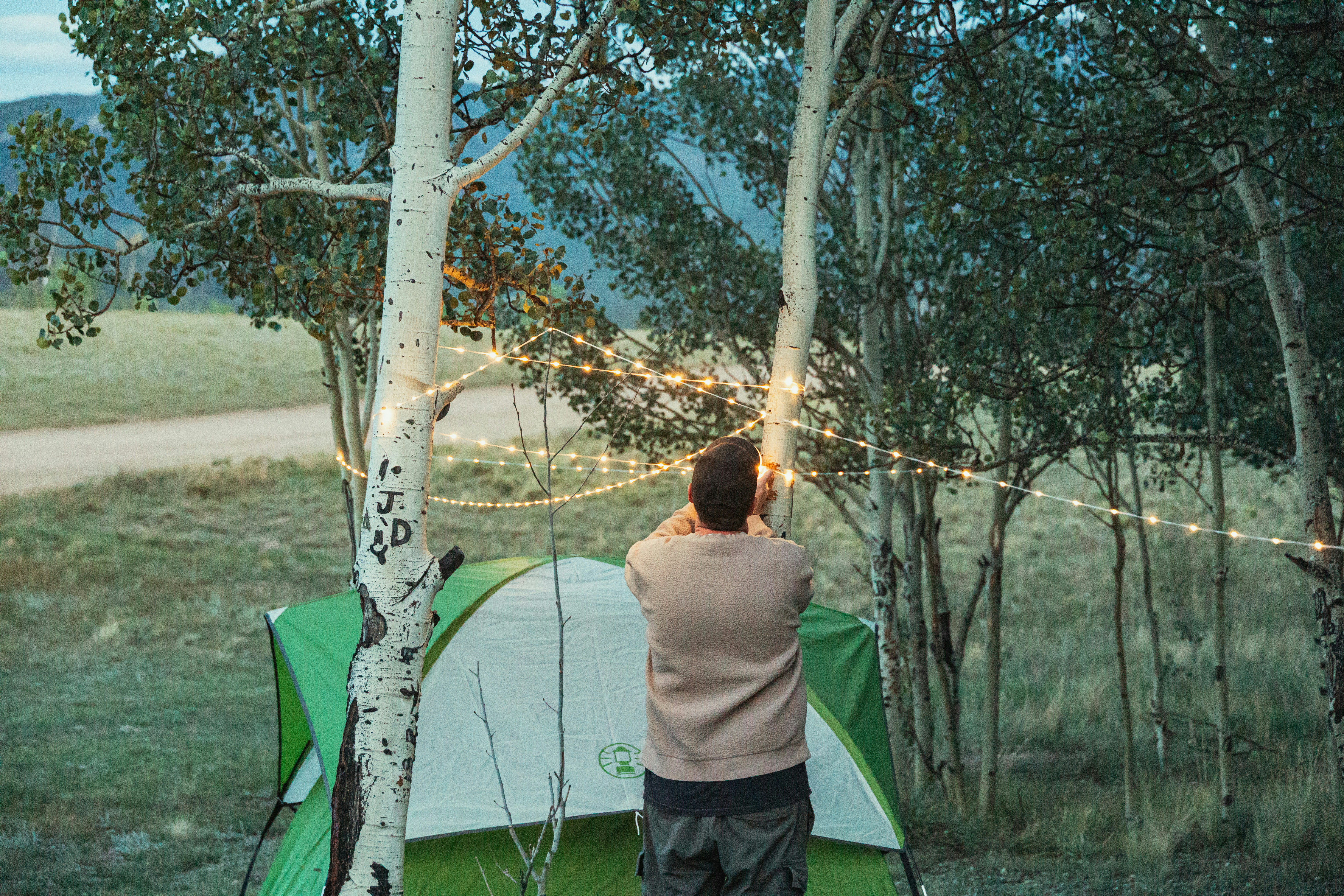 A person in a beige sweater stringing fairy lights between aspen trees by a tent