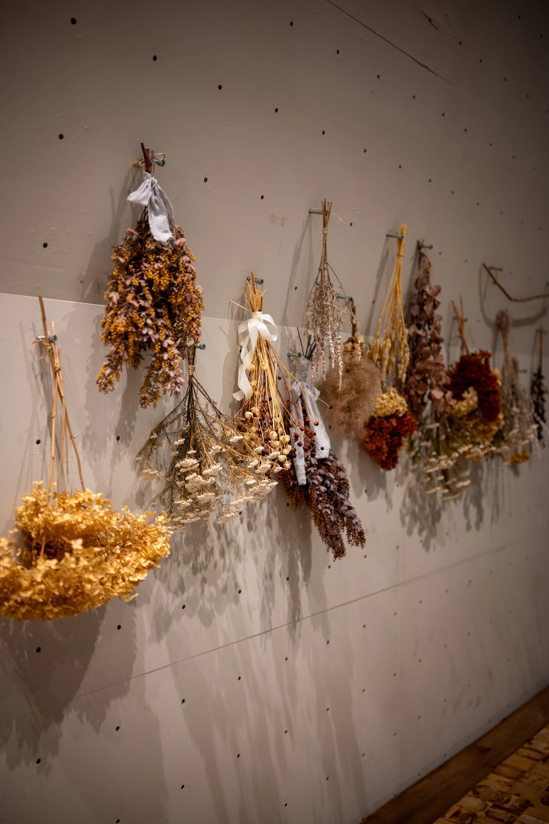 A row of dried bouquets tied with ribbon and hung head down along a pale wall