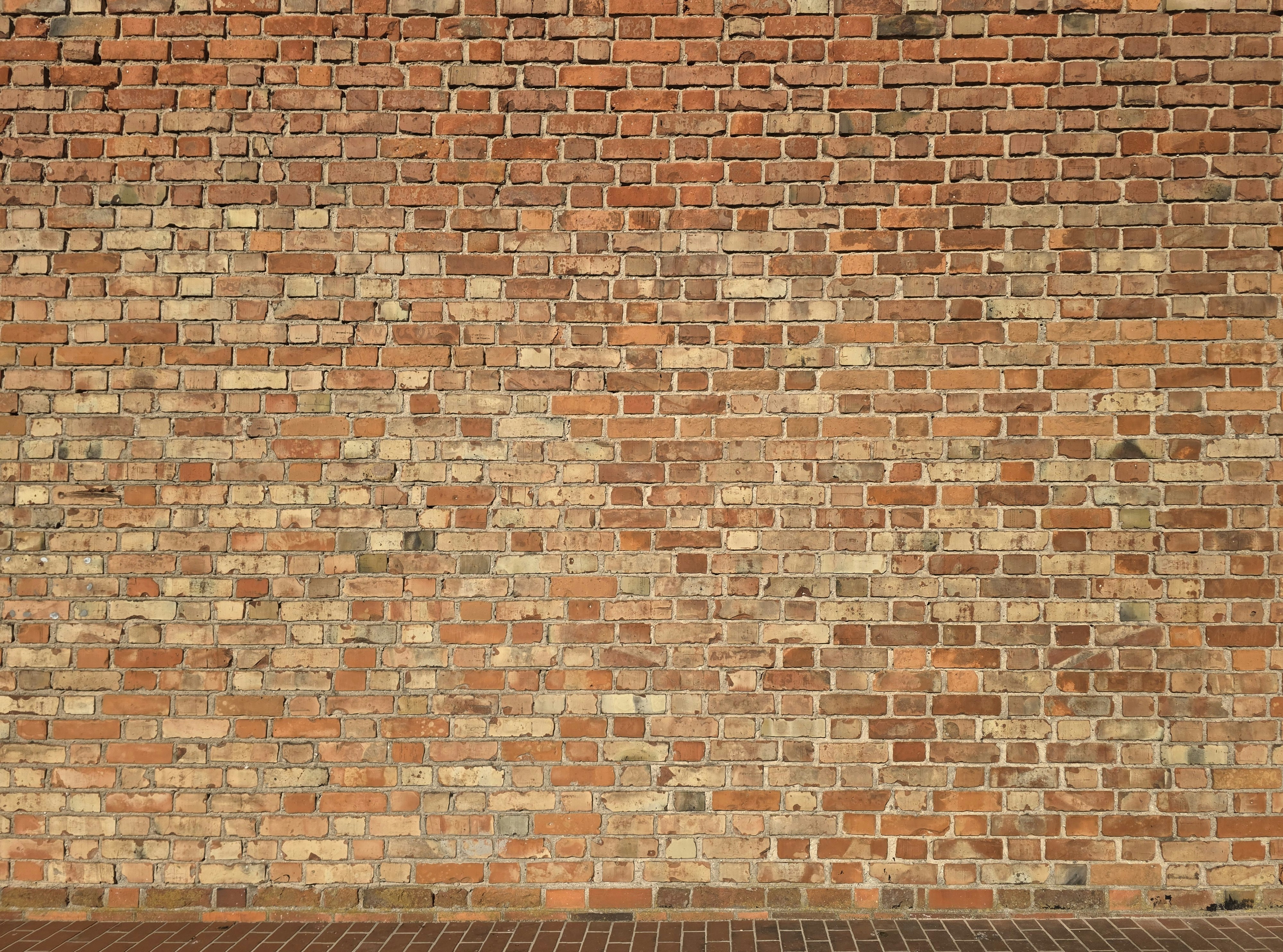 A weathered red brick wall above a dark paved ground surface