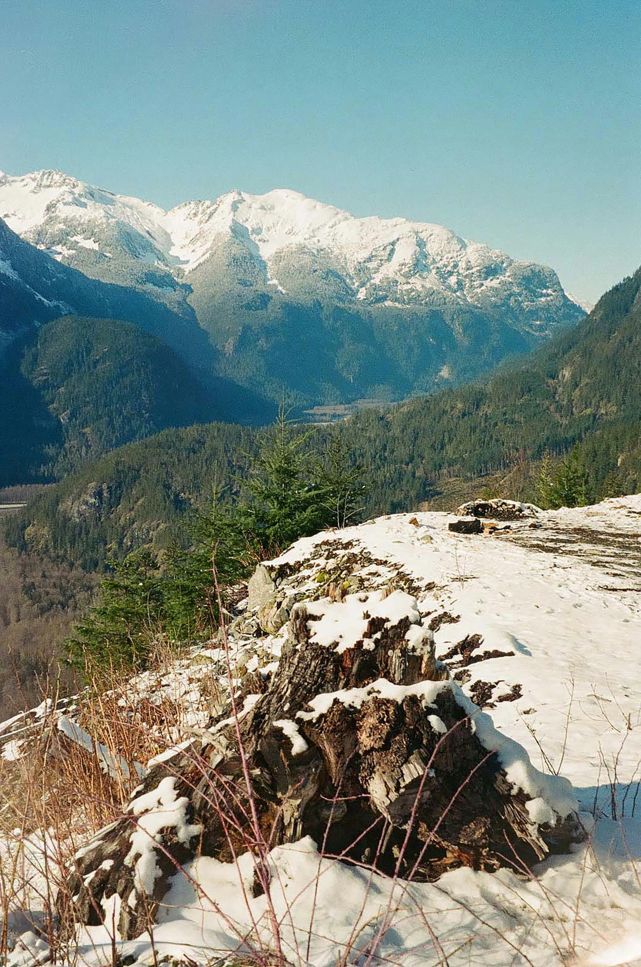 Ein schneebedeckter Baumstumpf auf einem Bergrücken mit Blick auf ein bewaldetes Tal