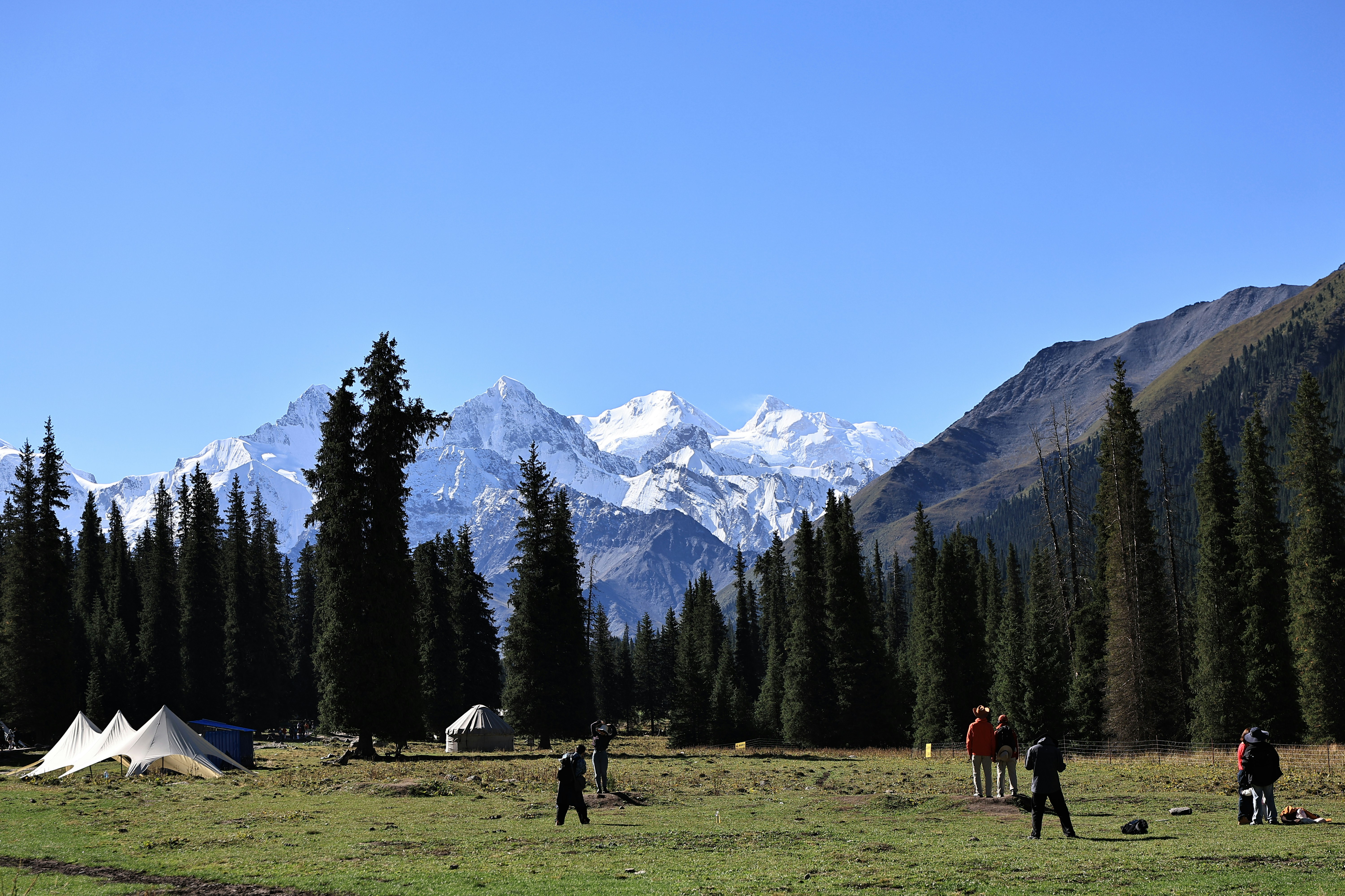 People in a grassy mountain meadow with tall pine trees and snow-capped peaks