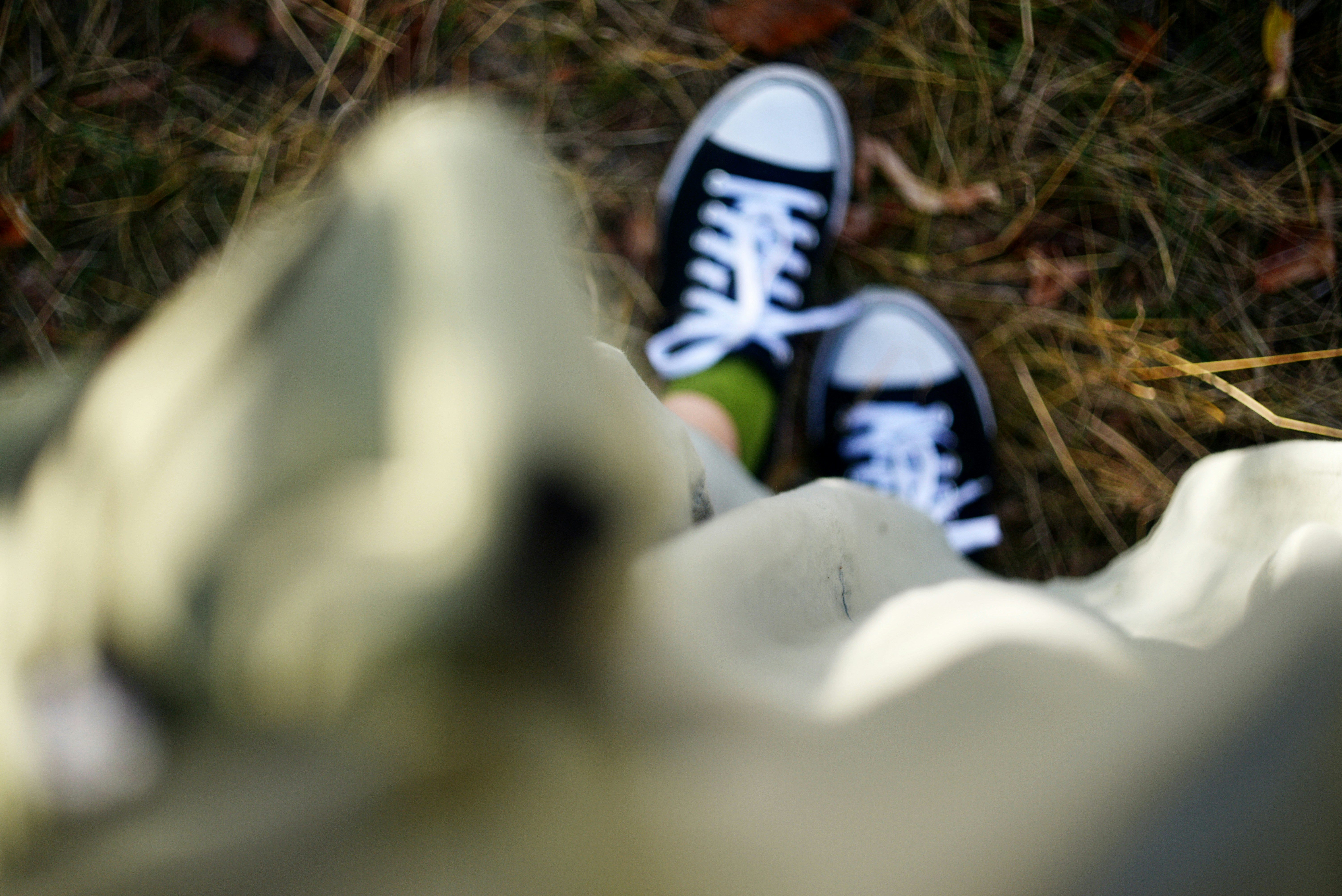 A person wearing black sneakers and green socks standing on dry autumn grass