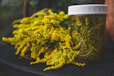 A glass jar filled with goldenrod flowers beside a fresh bunch on a table