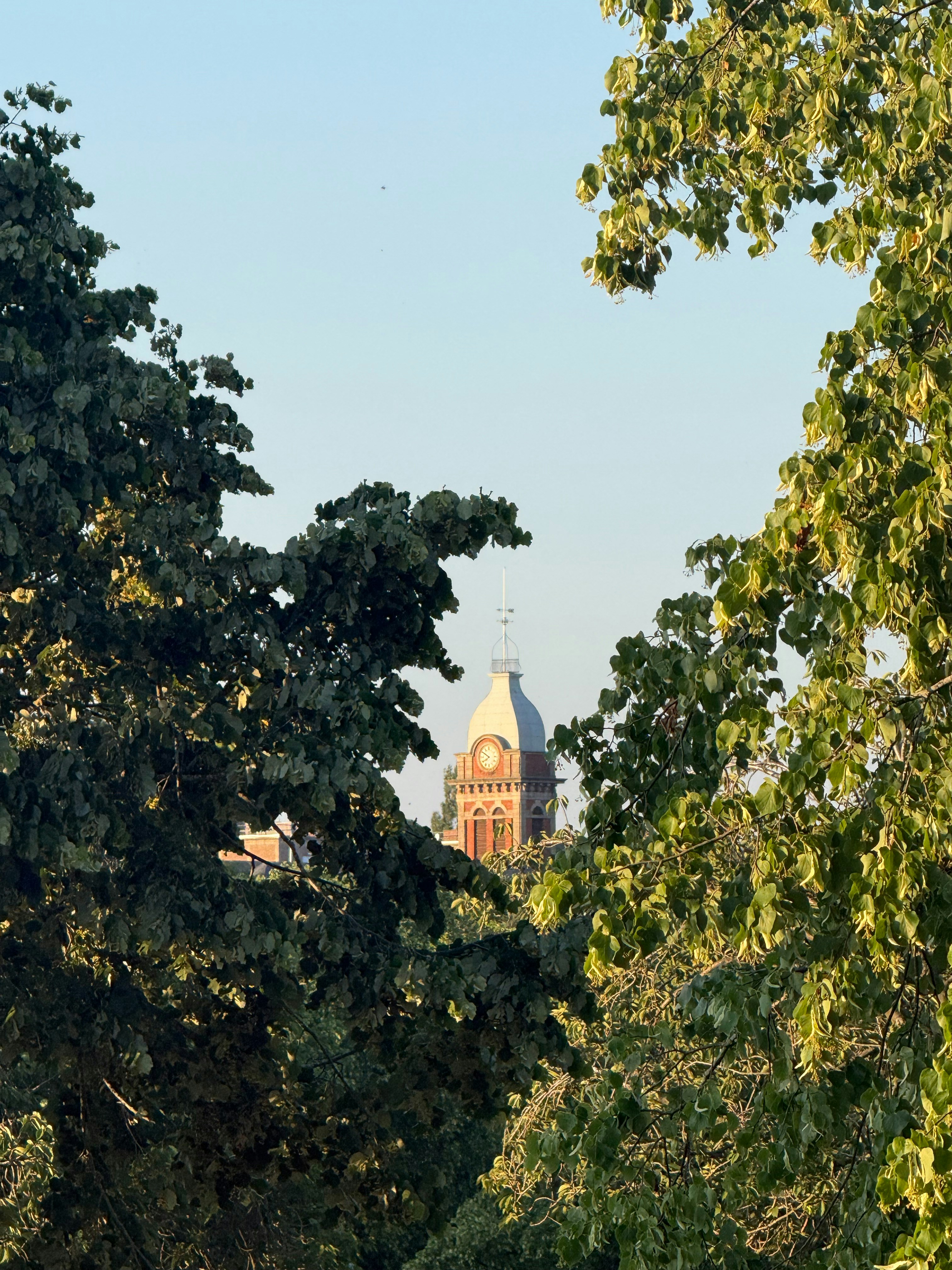 A clock tower with a dome framed by green leafy tree branches