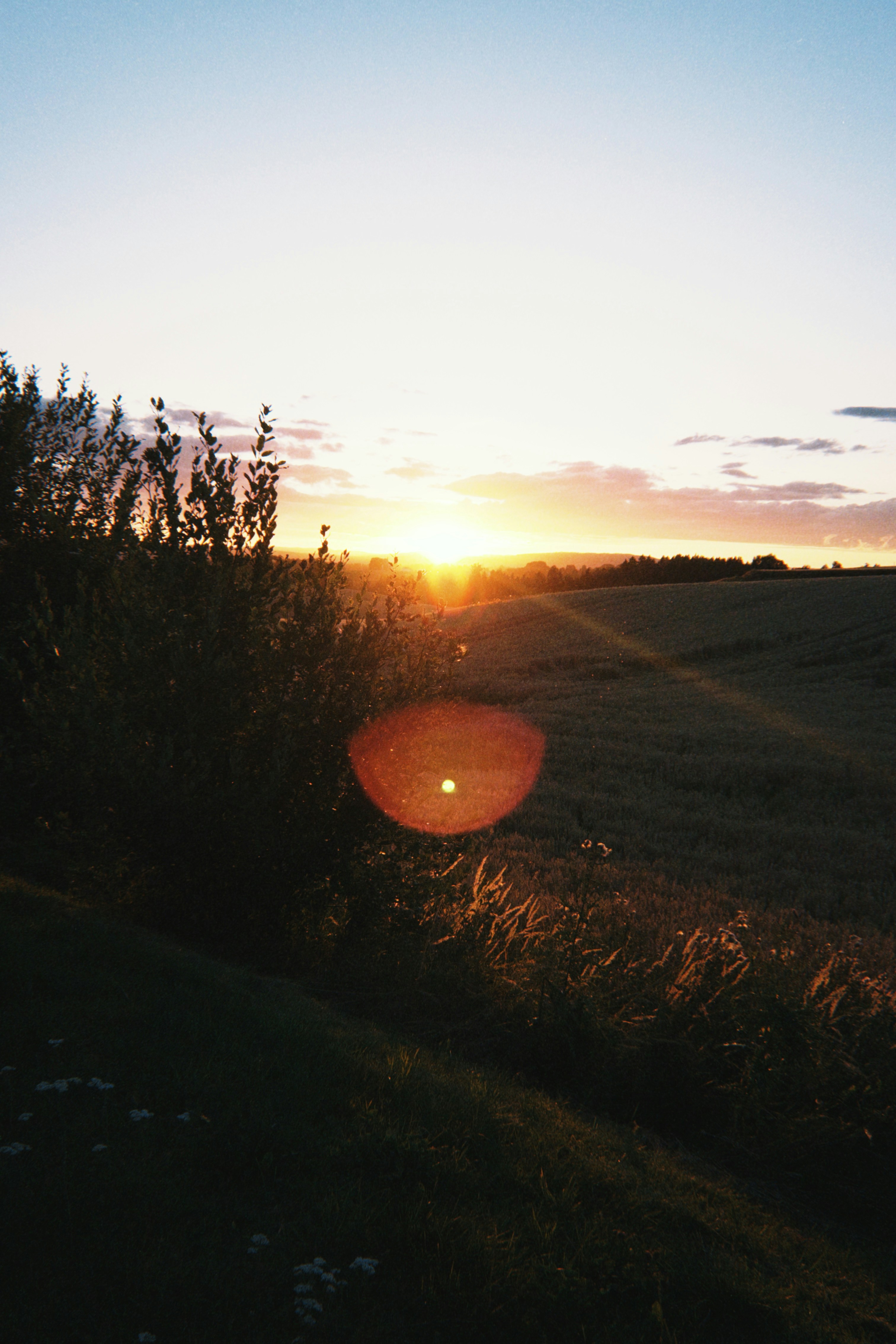 Eastern Edge — Rakvere, Iisaku, and the Alutaguse Wilderness