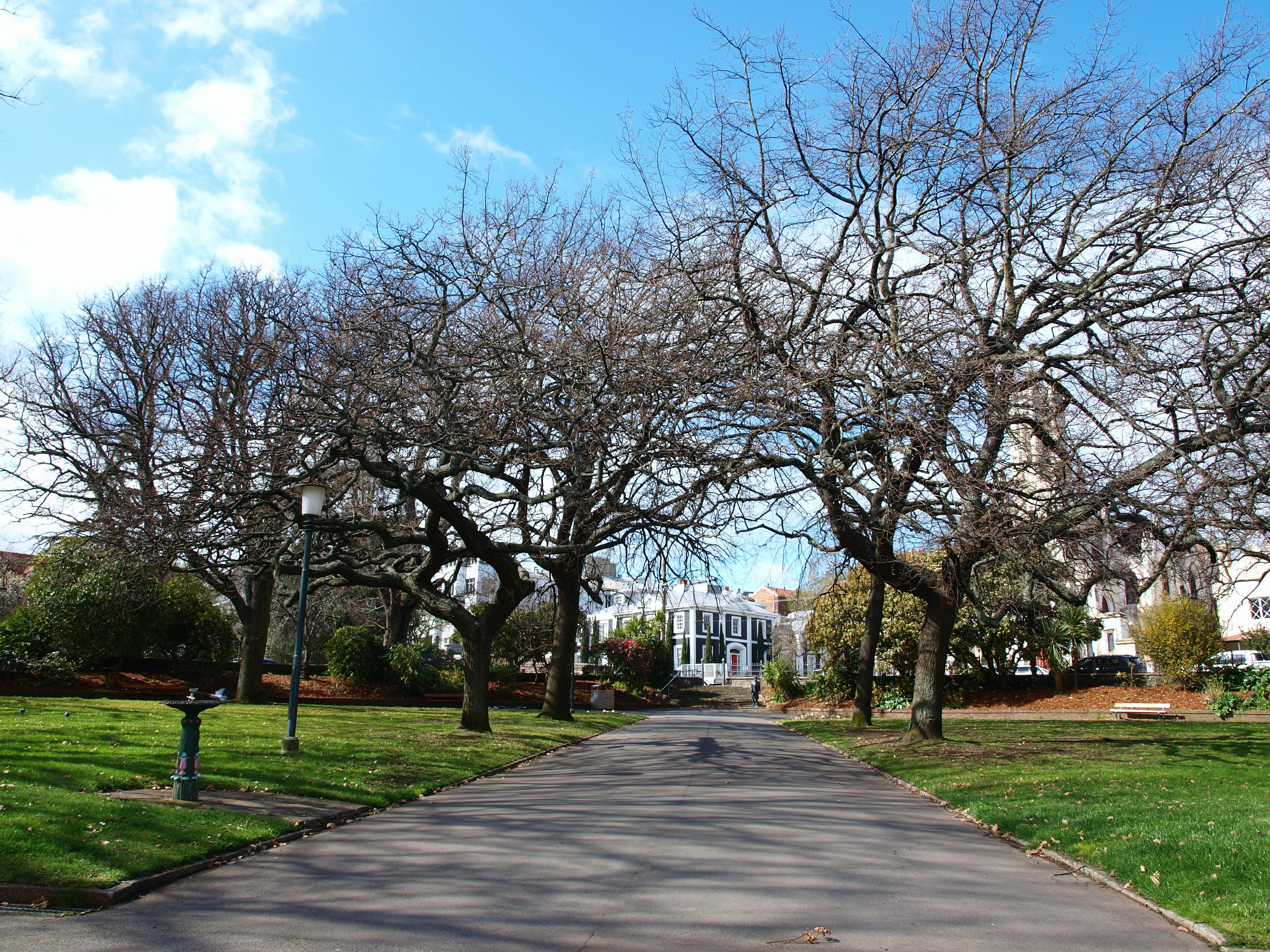 Paved path through a park with bare trees