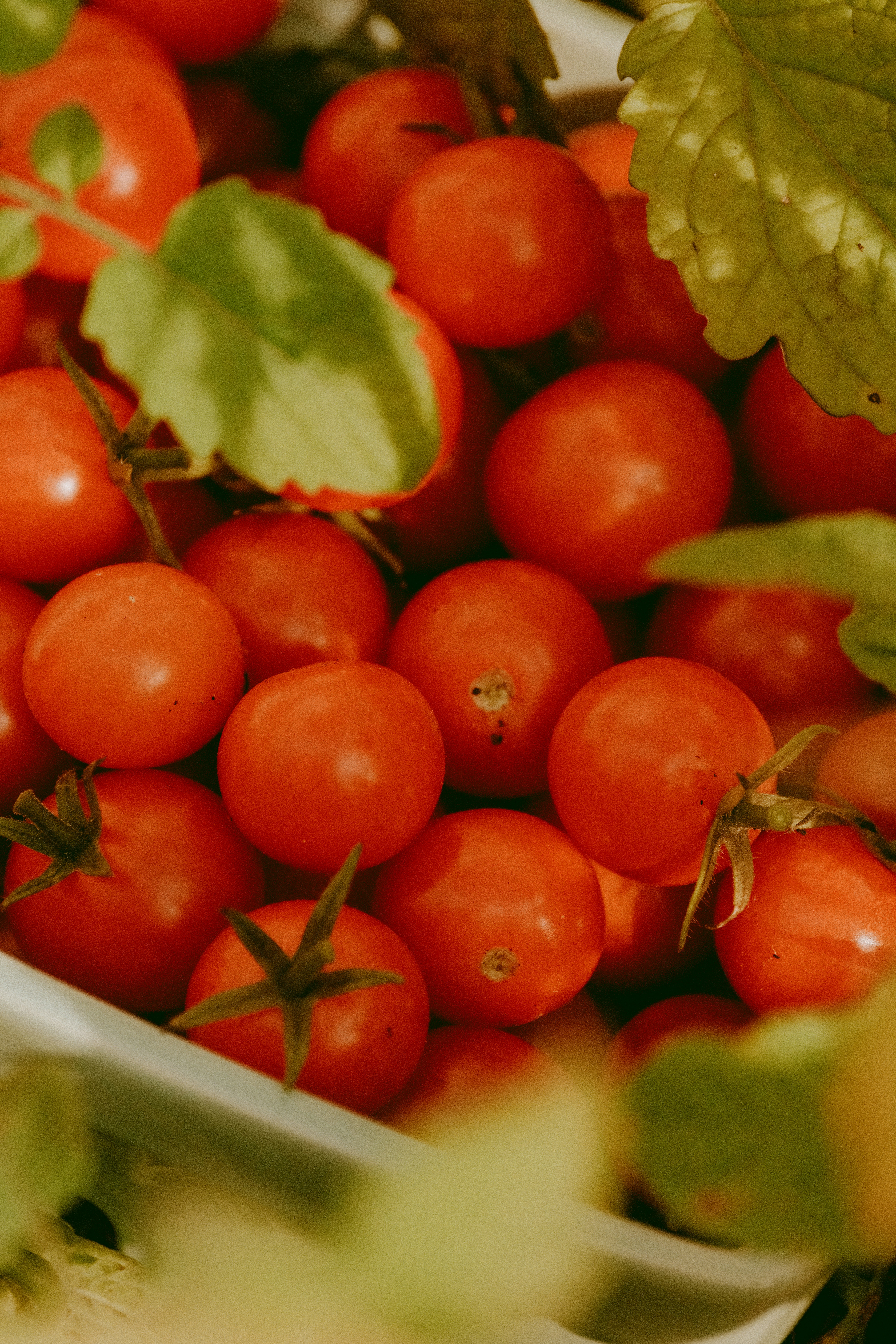 A cluster of ripe red cherry tomatoes with green leaves on the vine