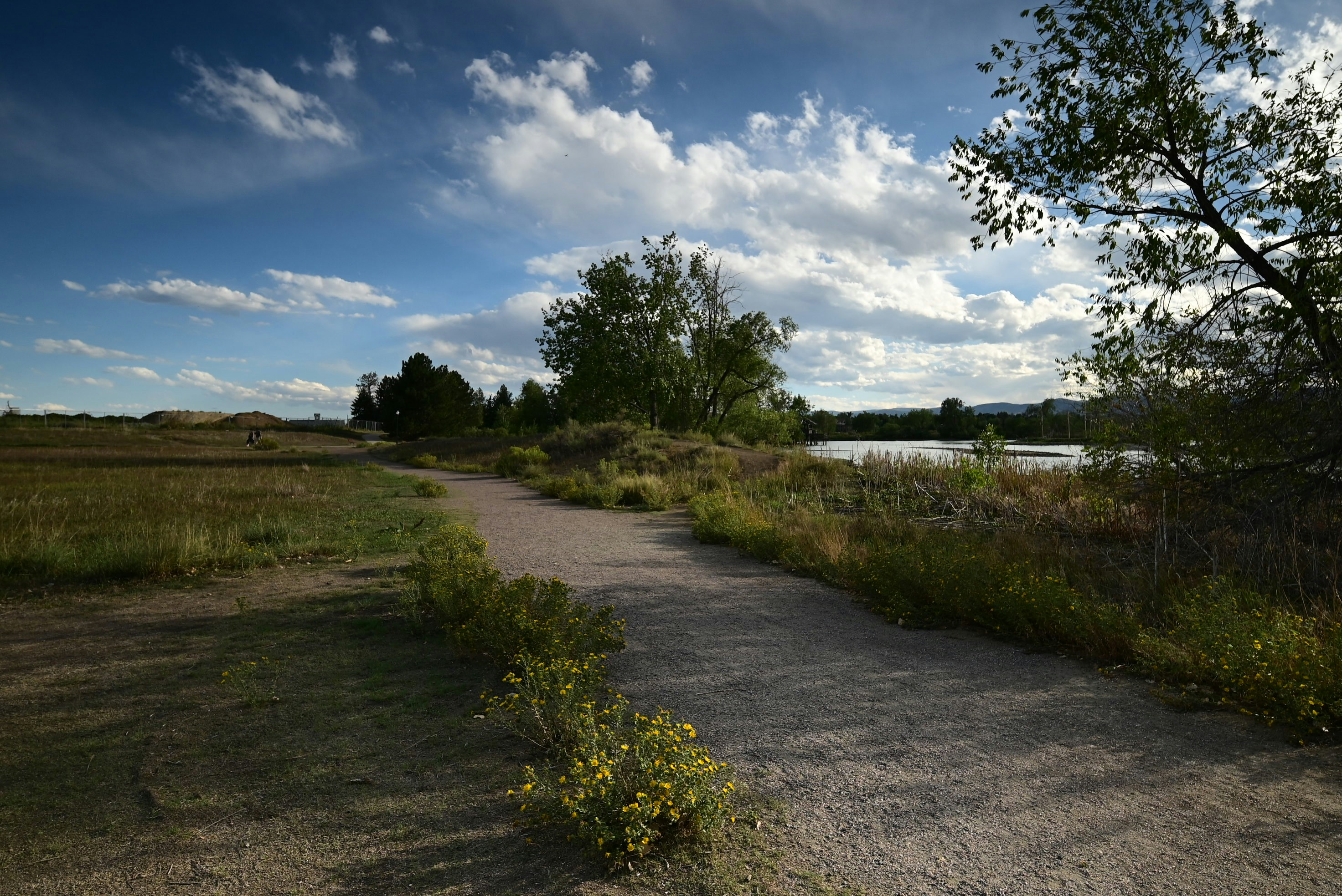 A gravel path winding through a grassy field toward a lake under blue skies
