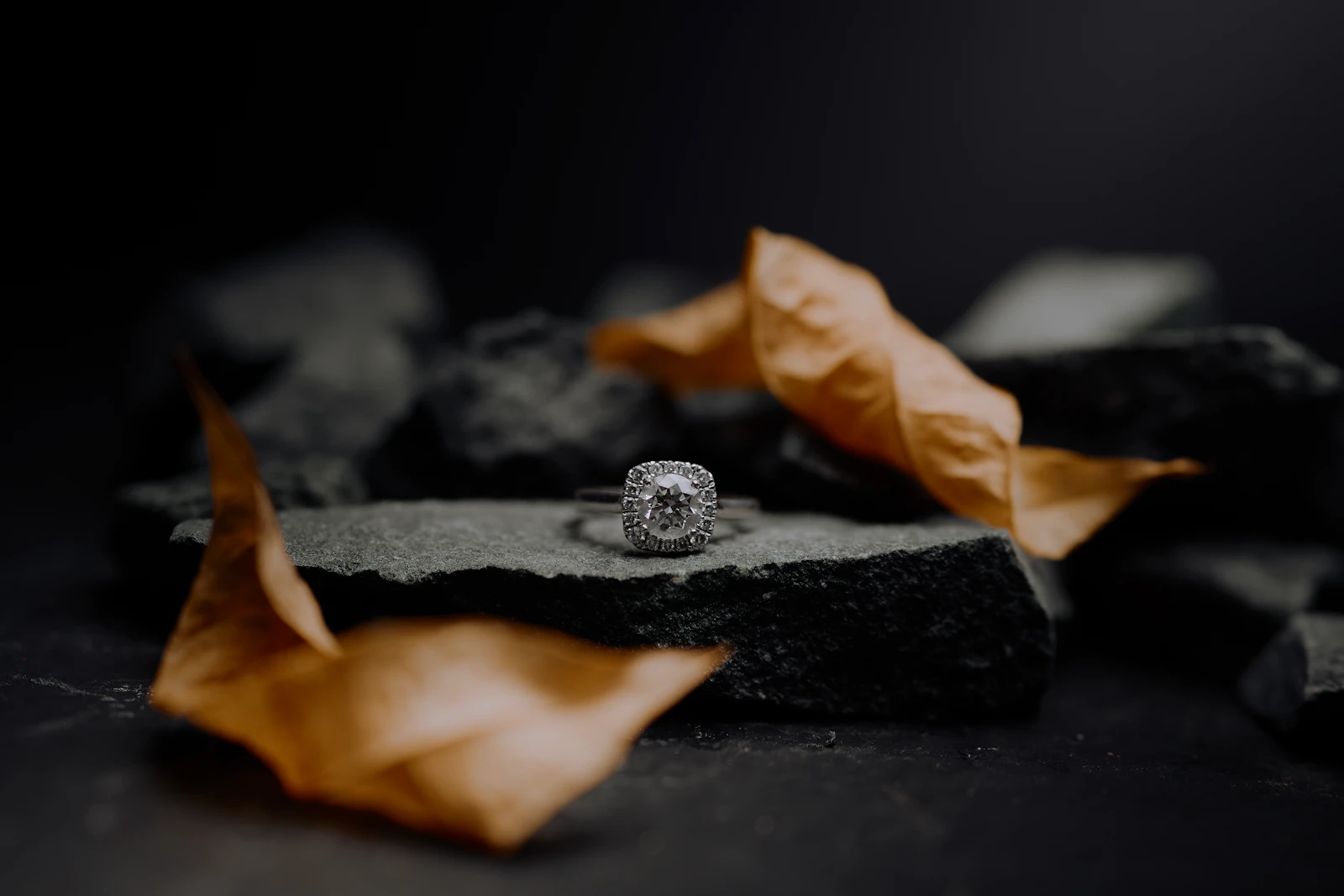 A cushion halo engagement ring resting on dark slate between dried leaves