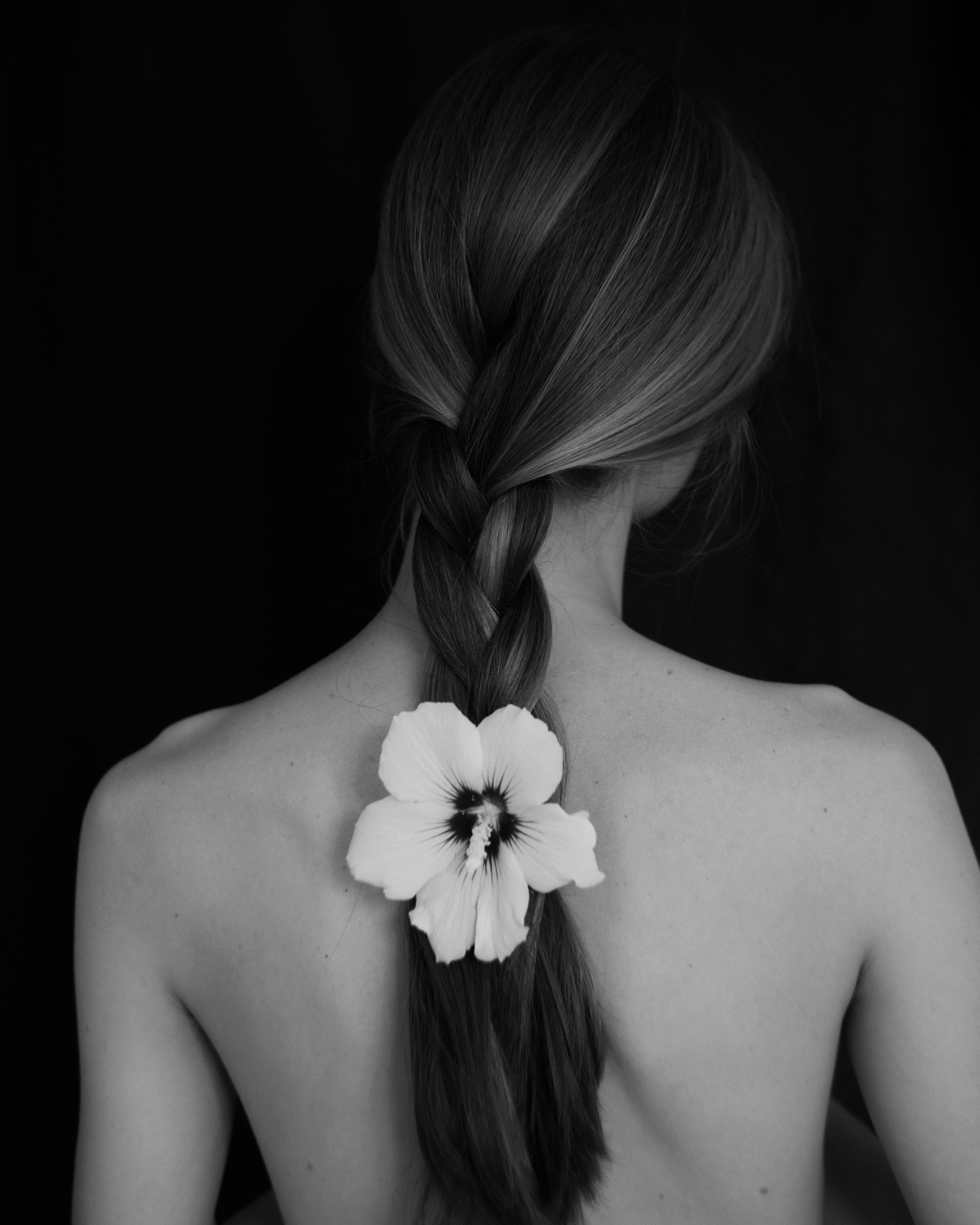 A person with a braided hairstyle and a hibiscus flower against a black background