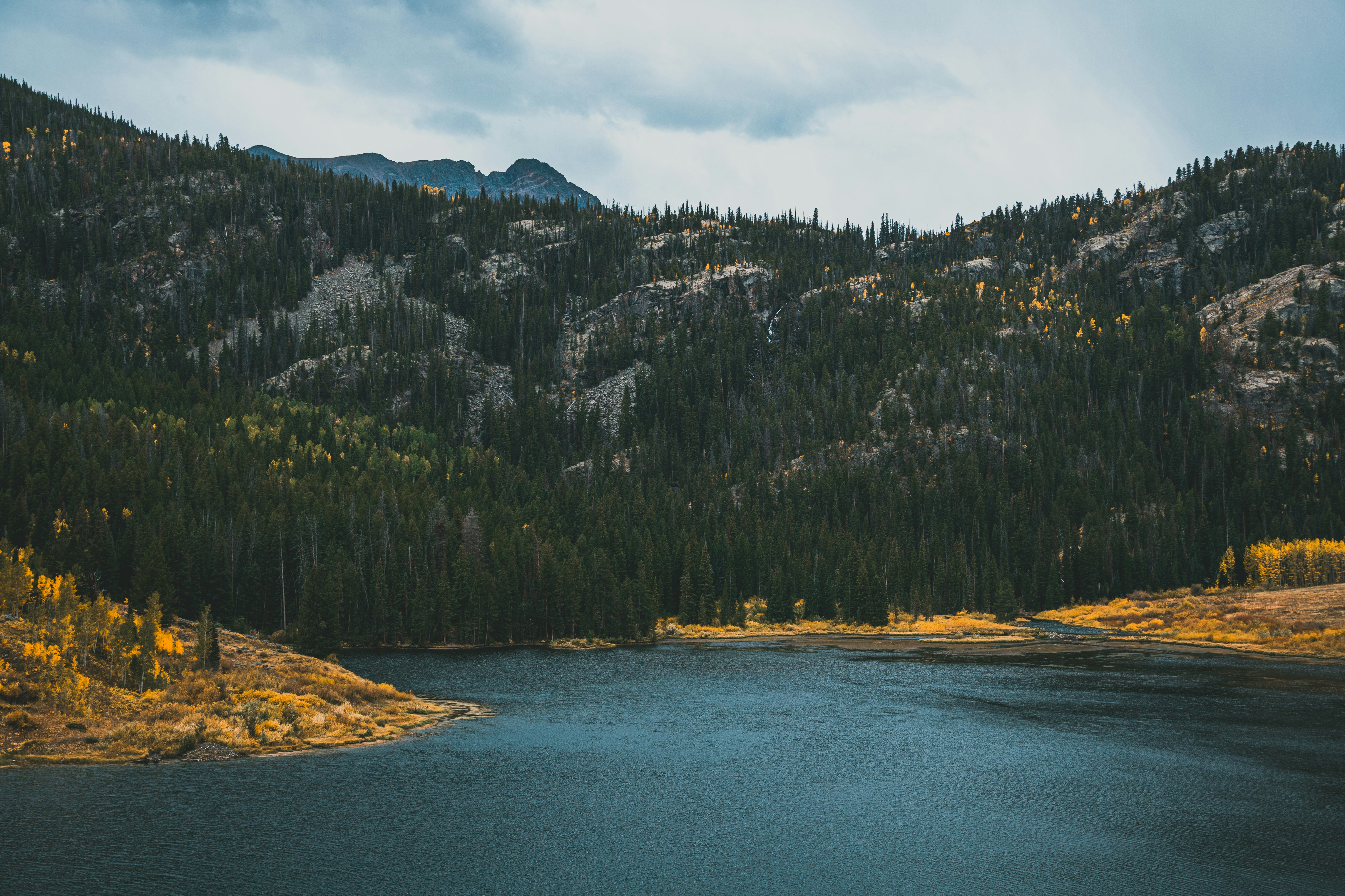 A dark lake surrounded by dense evergreen forest and golden autumn trees