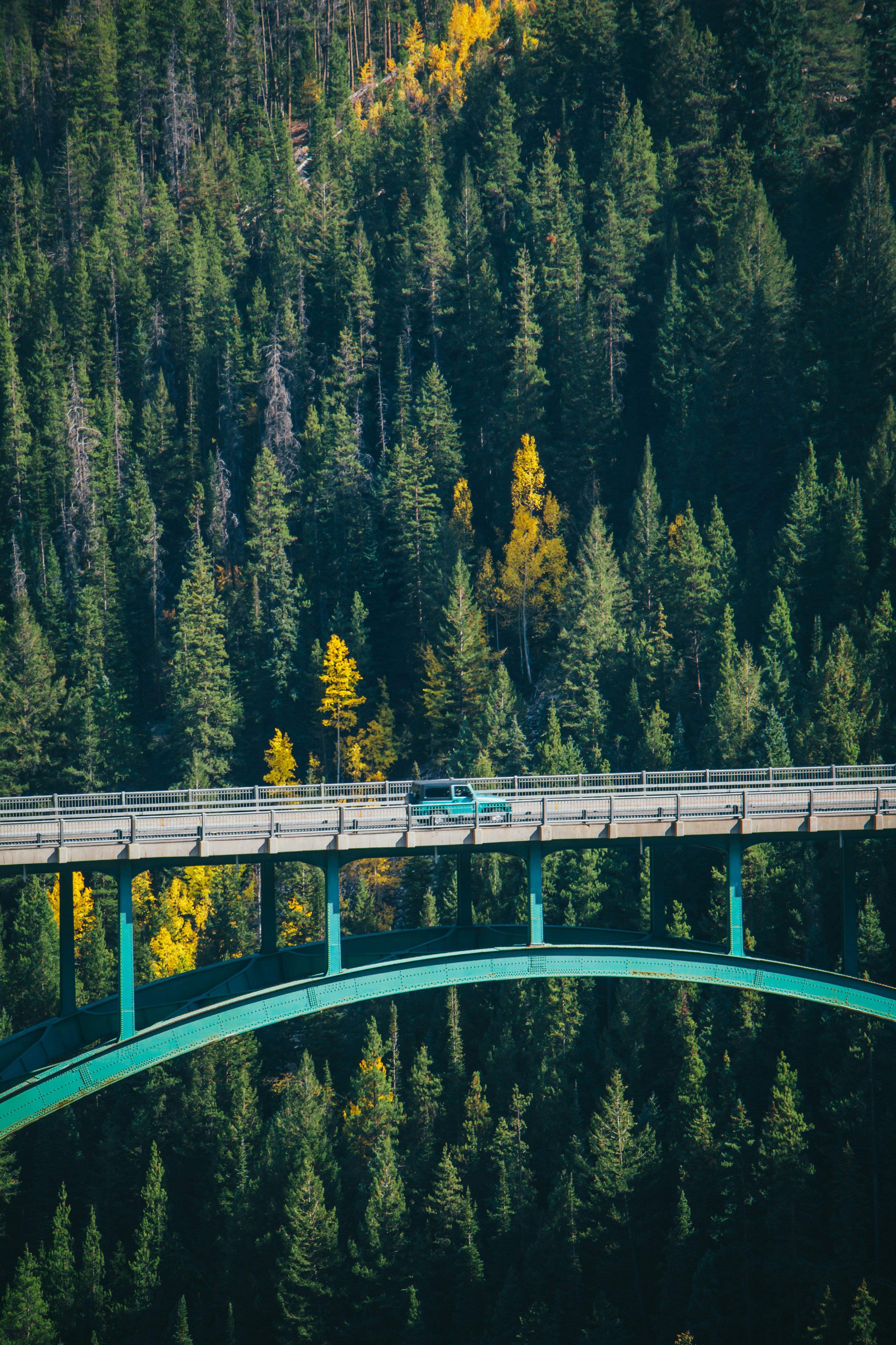 A teal car driving across a green arched bridge in a dense pine forest