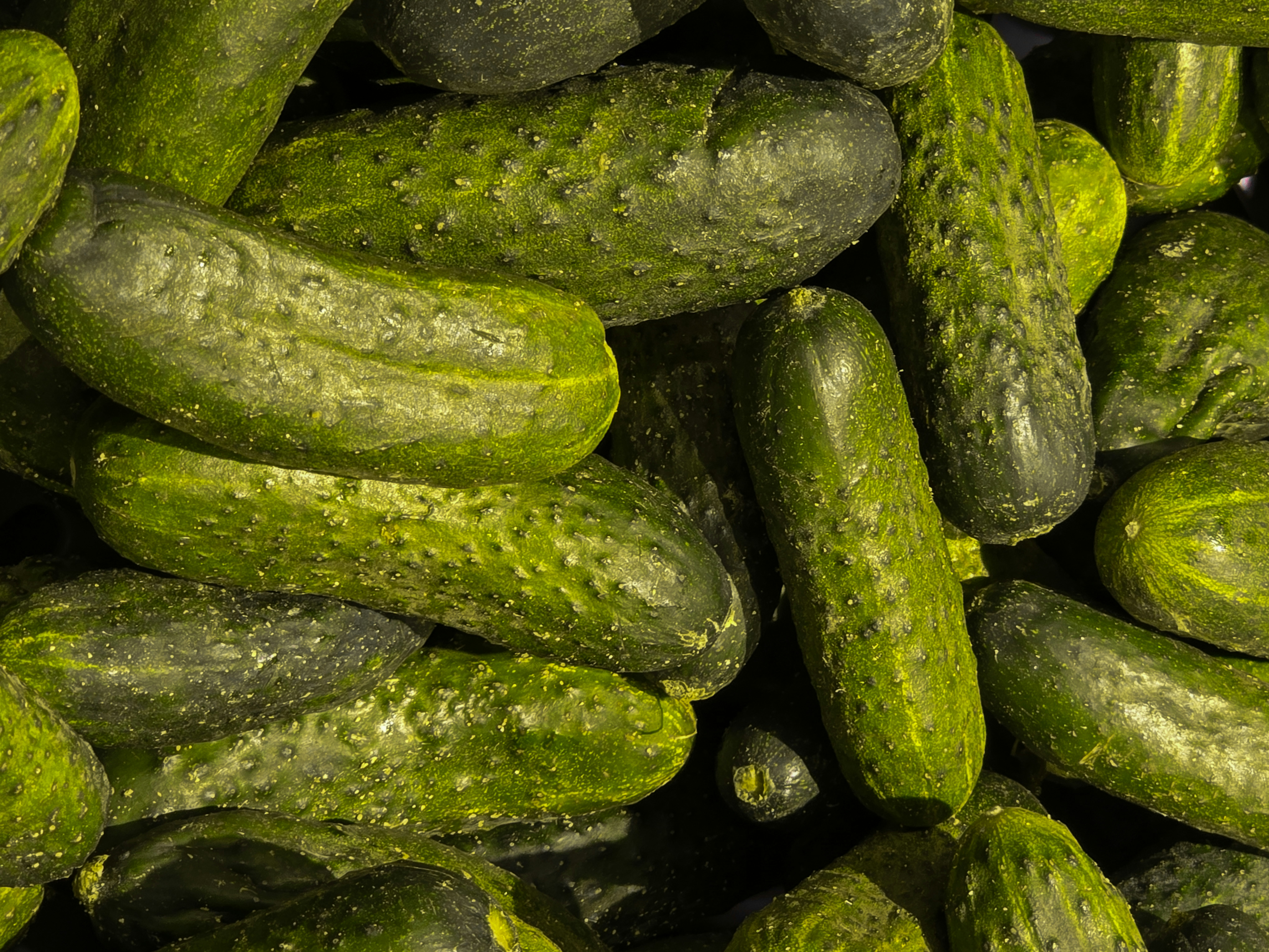 【小黃瓜】可以生吃嗎？即睇營養、功效好處、食用禁忌與熱門食譜（附保存方法）