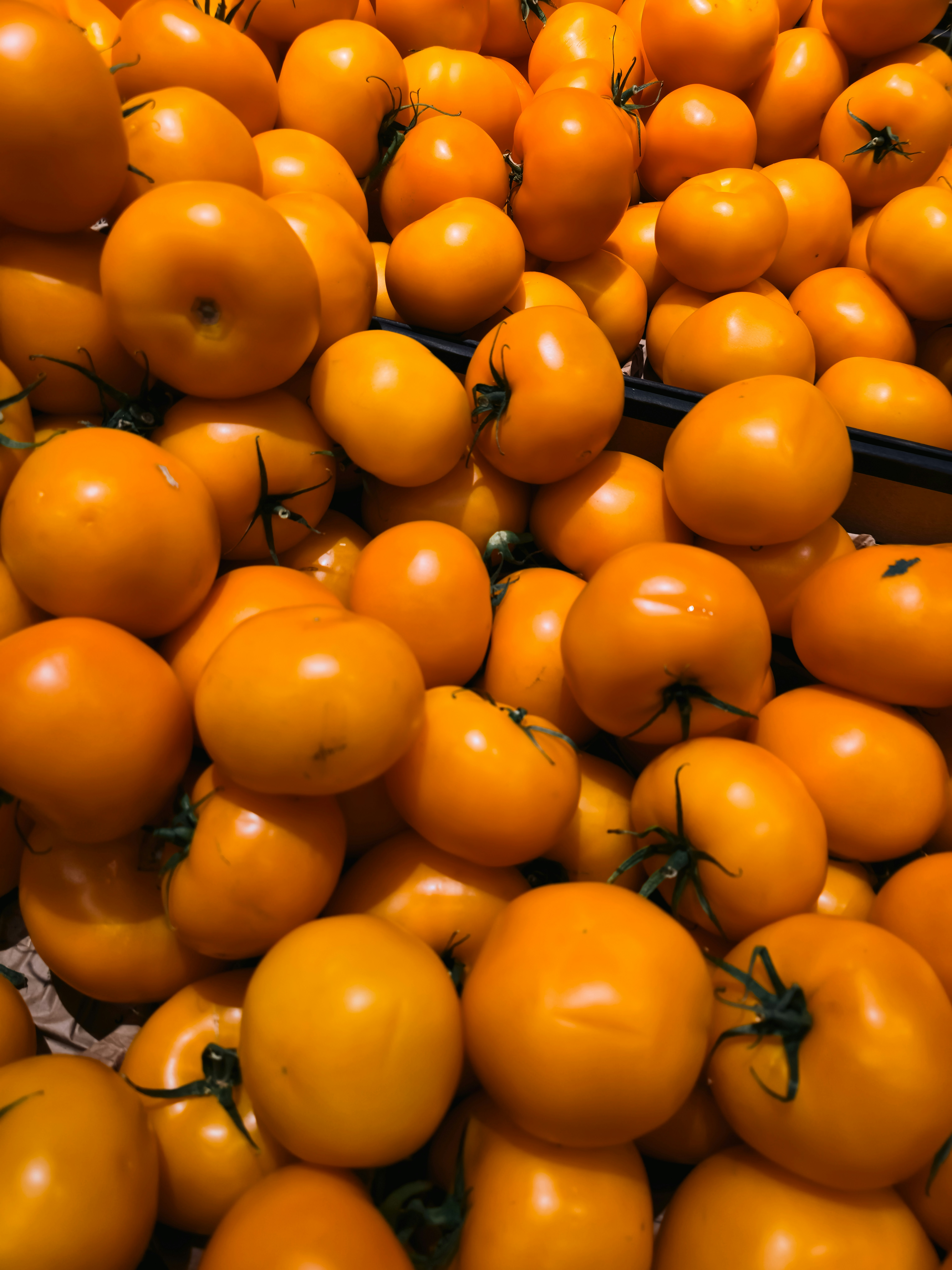 A large pile of fresh yellow tomatoes with green stems in a crate