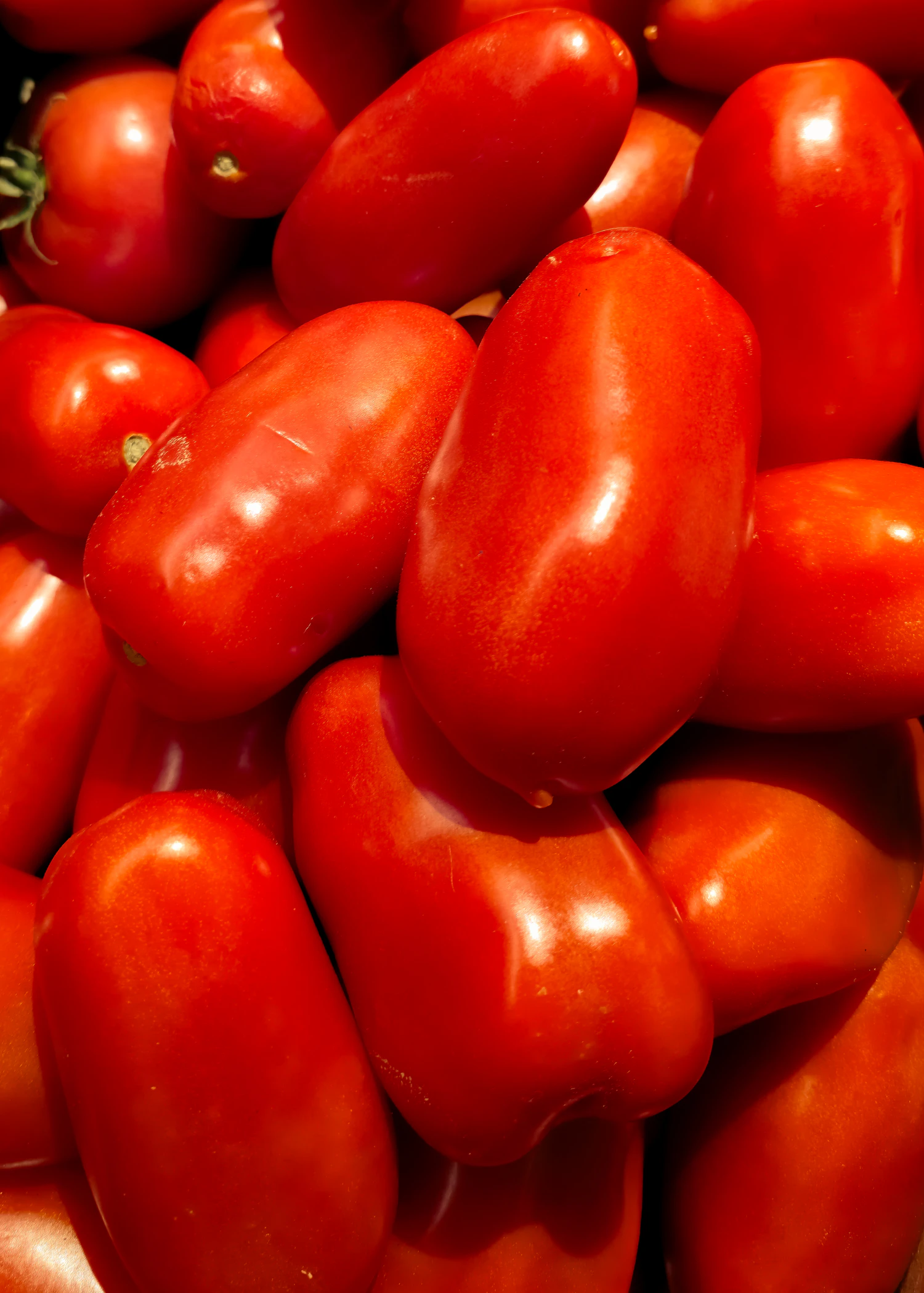 A pile of ripe red plum tomatoes with glossy skins