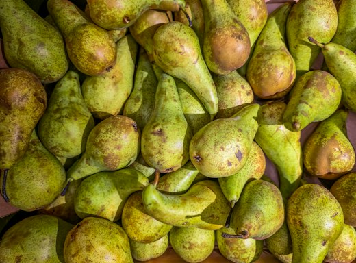 Poire Conférence